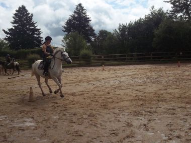 Cheval Poney Carrière Manège Périgord Vert