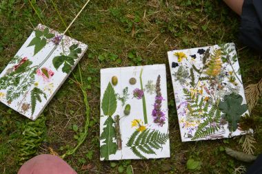 Local and homemade herbarium