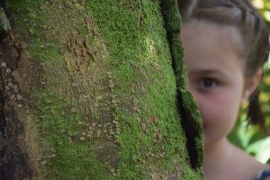 Gezien ? niet gezien? prachtige bomen in de Périgord Vert ...