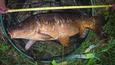 étang pêche dordogne camping poisson