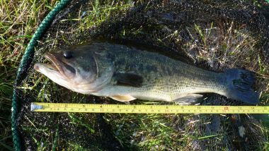 étang pêche dordogne camping poisson