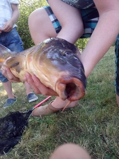 étang camping poisson pêche dordogne