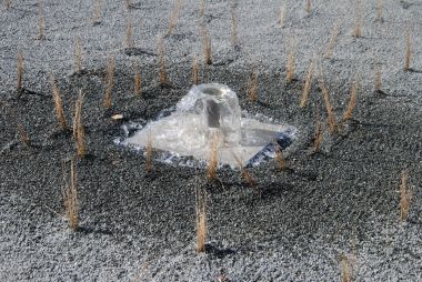 "Phyto" water reiniging afvalwater rietvelden Périgord Vert