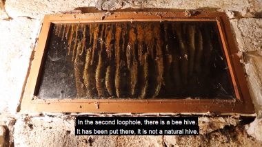 Les Abeilles dans la meurtrière