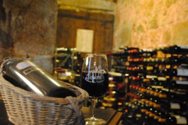 The wine cellar: wines at the good temperature