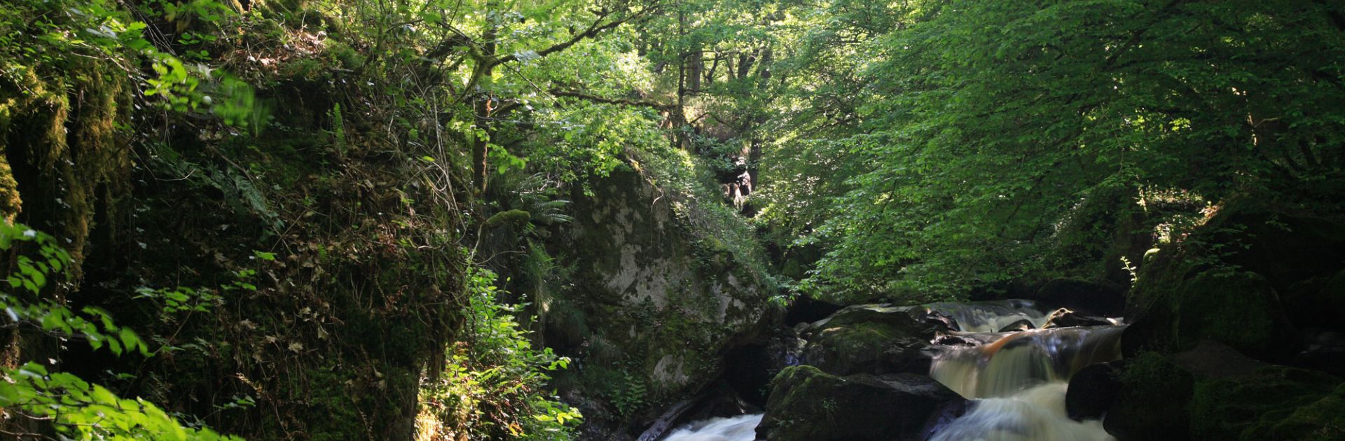 Périgord Vert camping natuur Dordogne