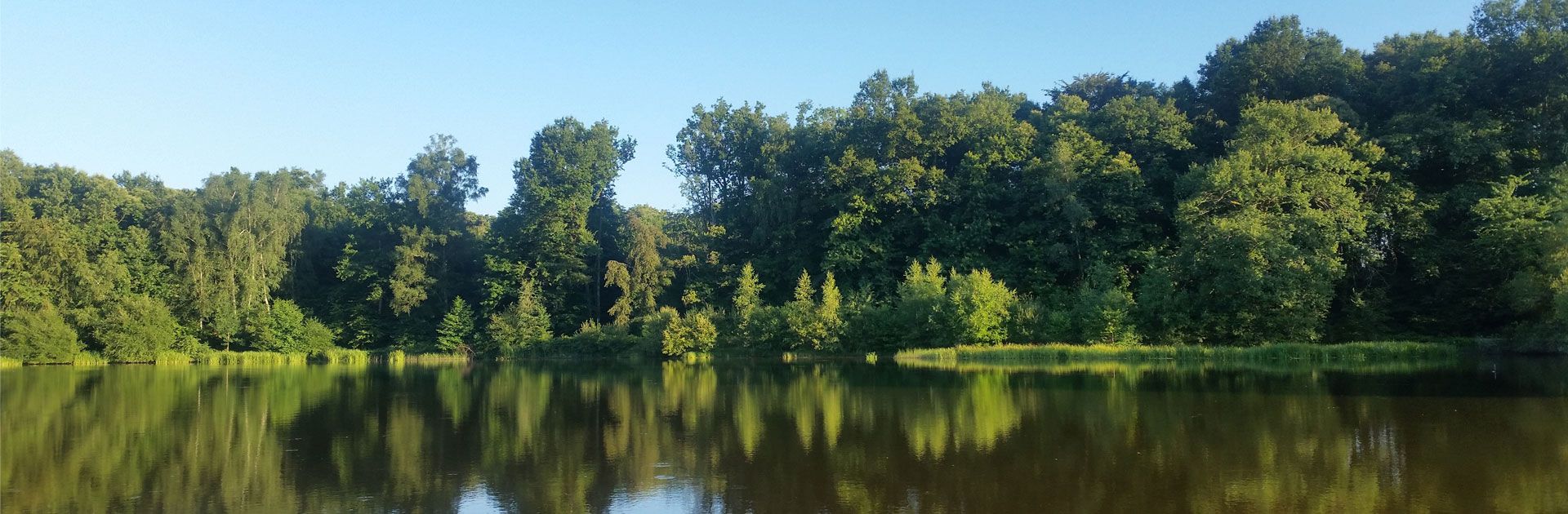 Poisson Pêche étang Périgord Vert Dordogne