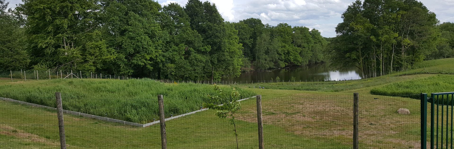 Phyto purification wastewater reeds Périgord Vert