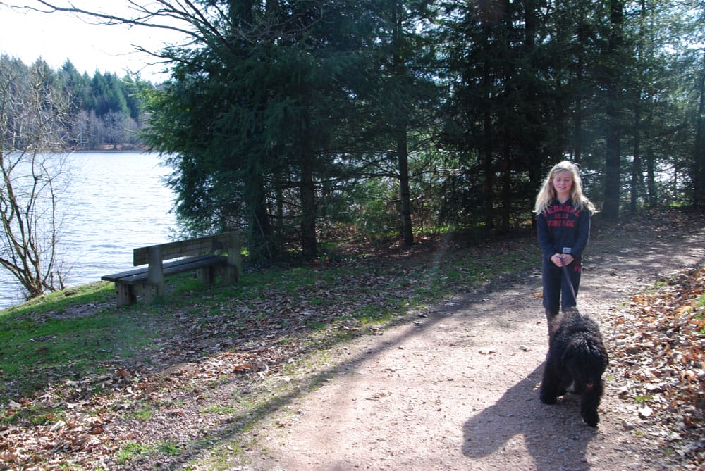 promenade avec un chien autour du lac barrage de Miallet