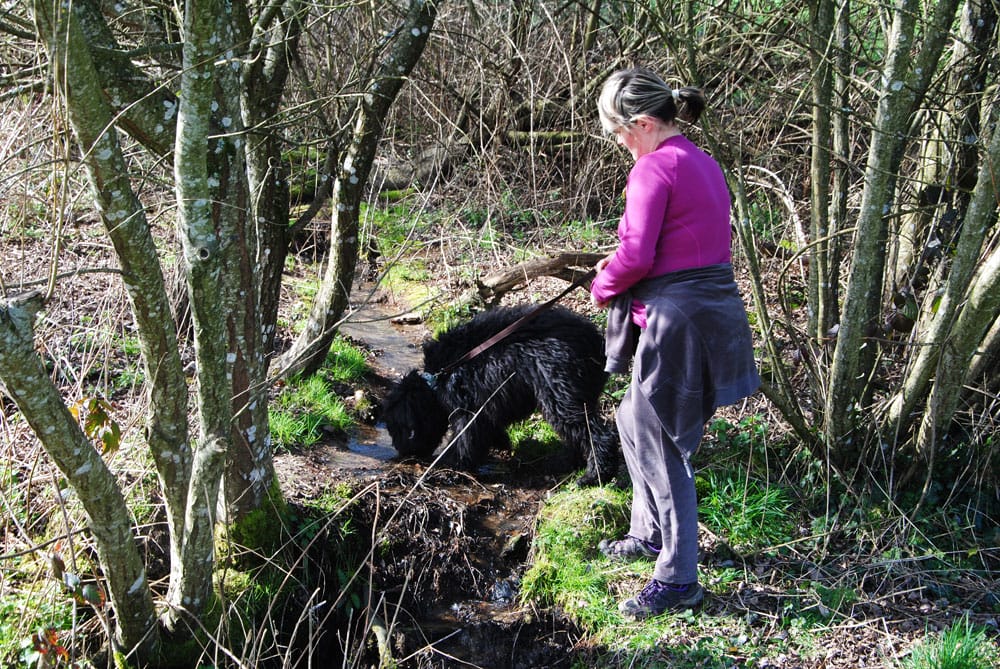 Promenade avec le Chien à Miallet Barrage en Périgord Vert