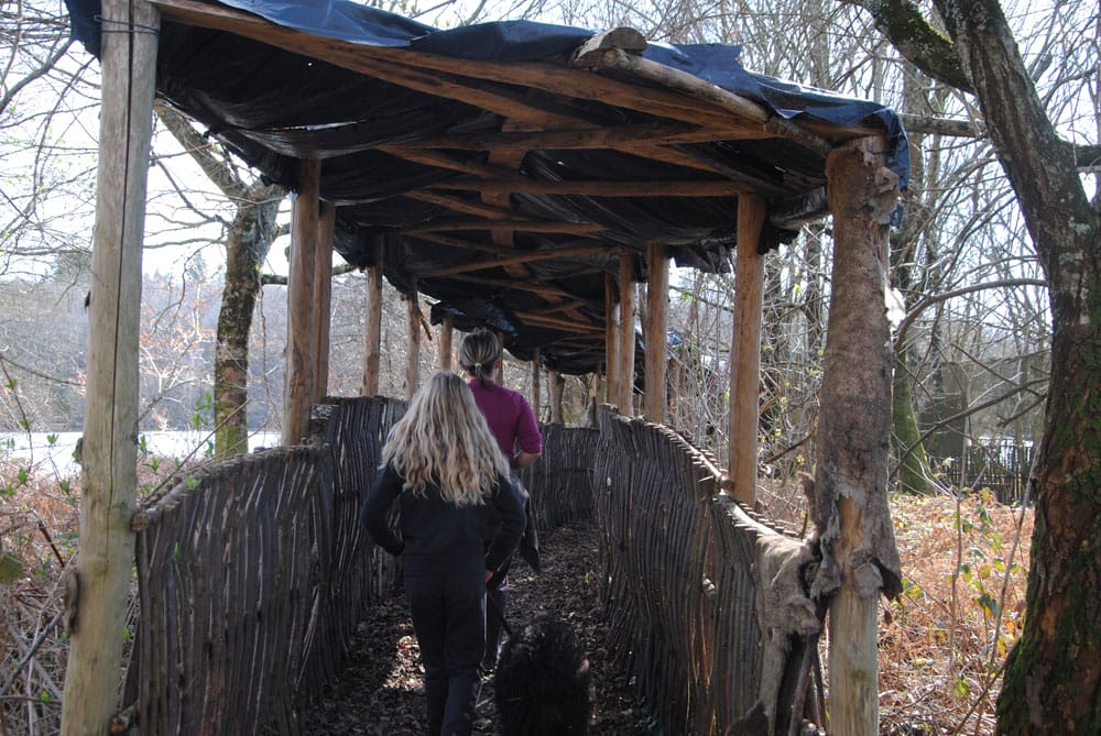 promenade dans le poste d'observation des oiseaux migrateurs autour du lac du barrage de Miallet