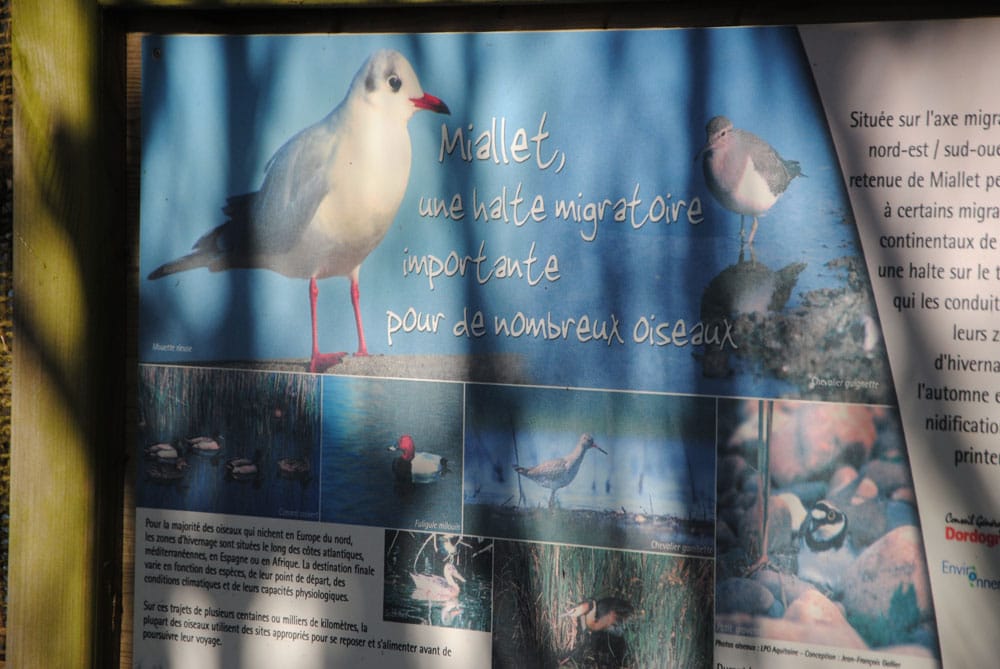 panneau d'information oiseaux migrateurs lac barrage de Miallet