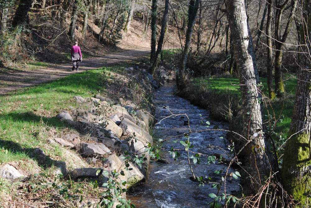 paysage chemin de randonnée autour du lac du barrage de Miallet