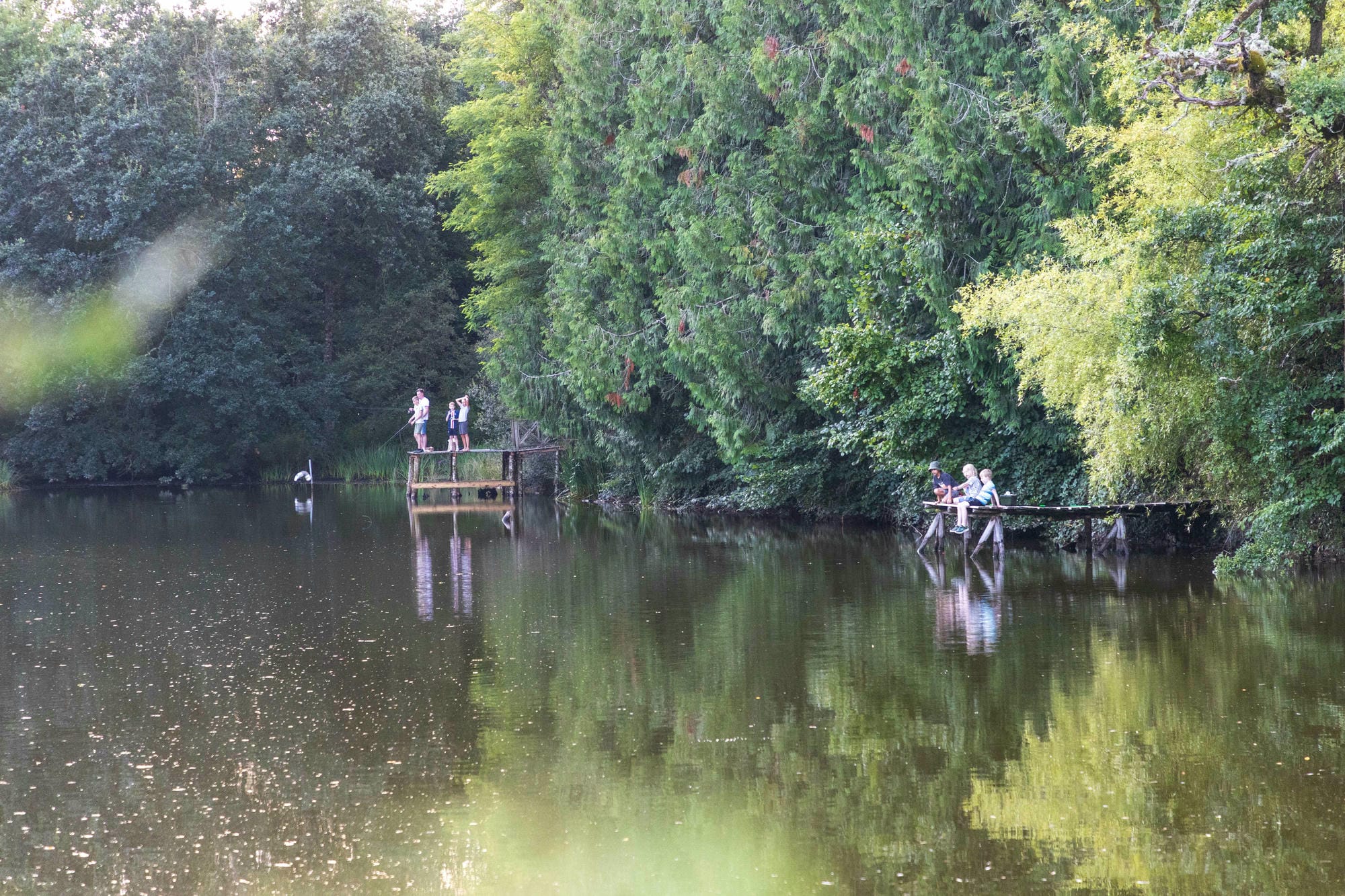 Personnes sur les pontons bordant l'étang de pêche du Château le Verdoyer, cadre arboré