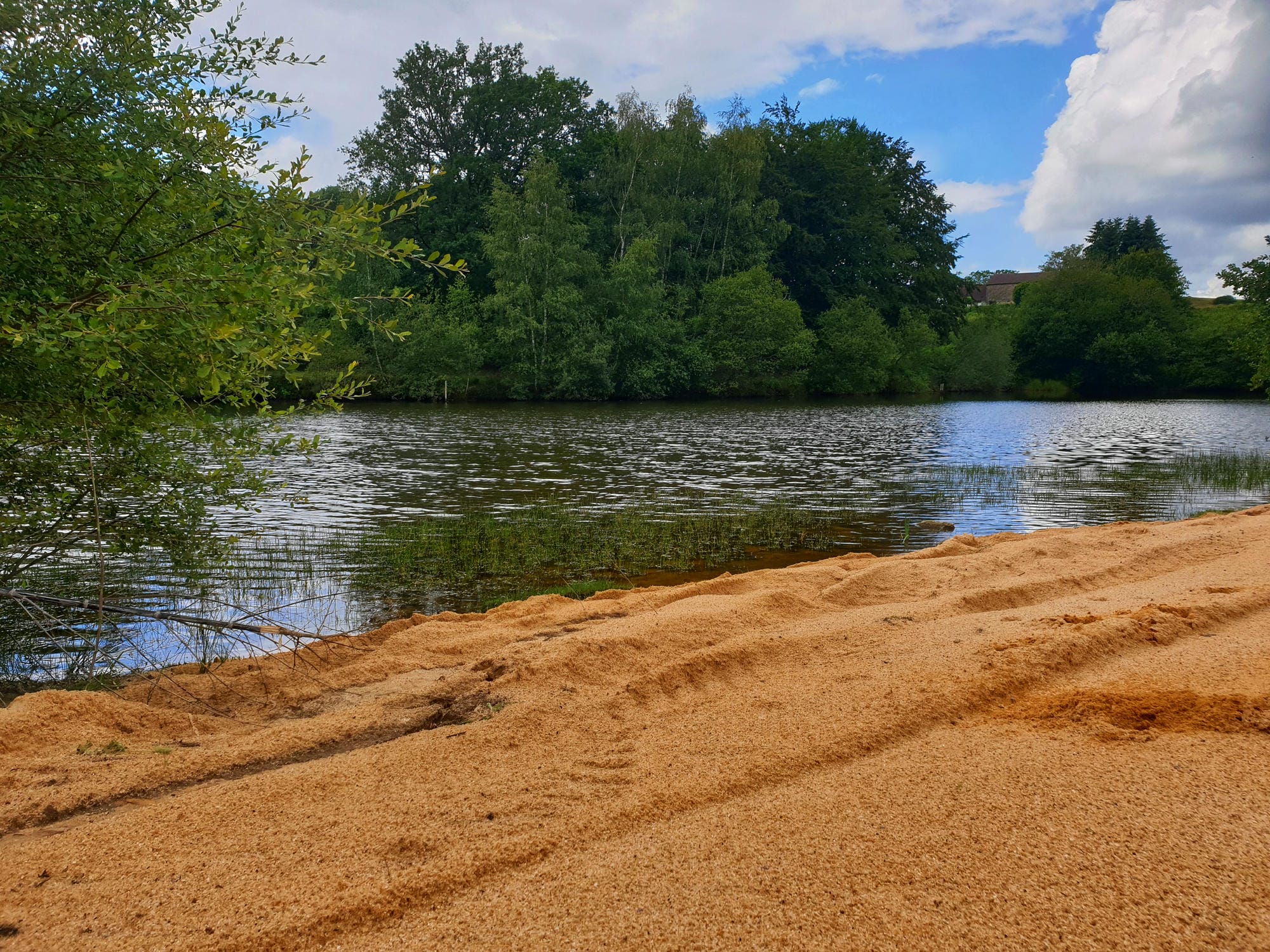 Plage de sable au bord de l'étang de baignade du Camping Le Verdoyer