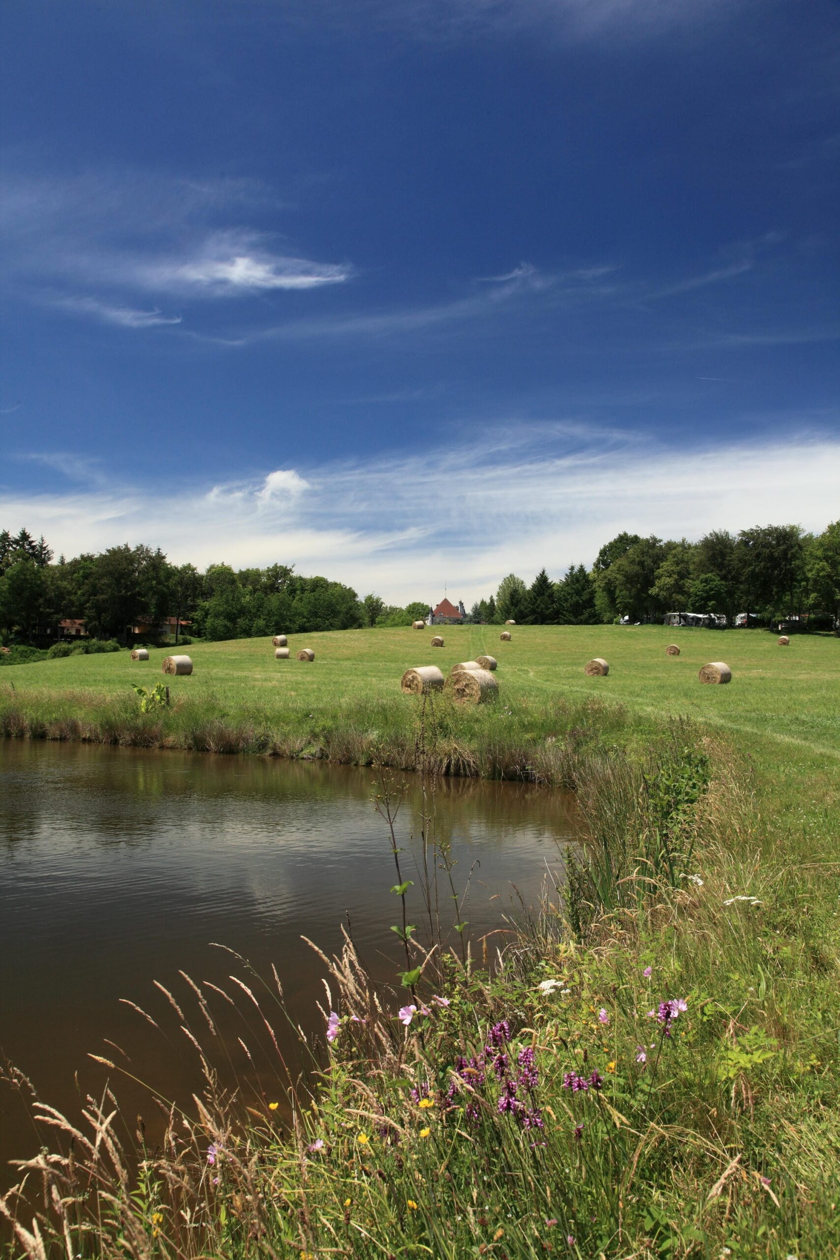 Bottes de foin dans un champ à côté de l'étang de baignade, cadre bucolique au Verdoyer
