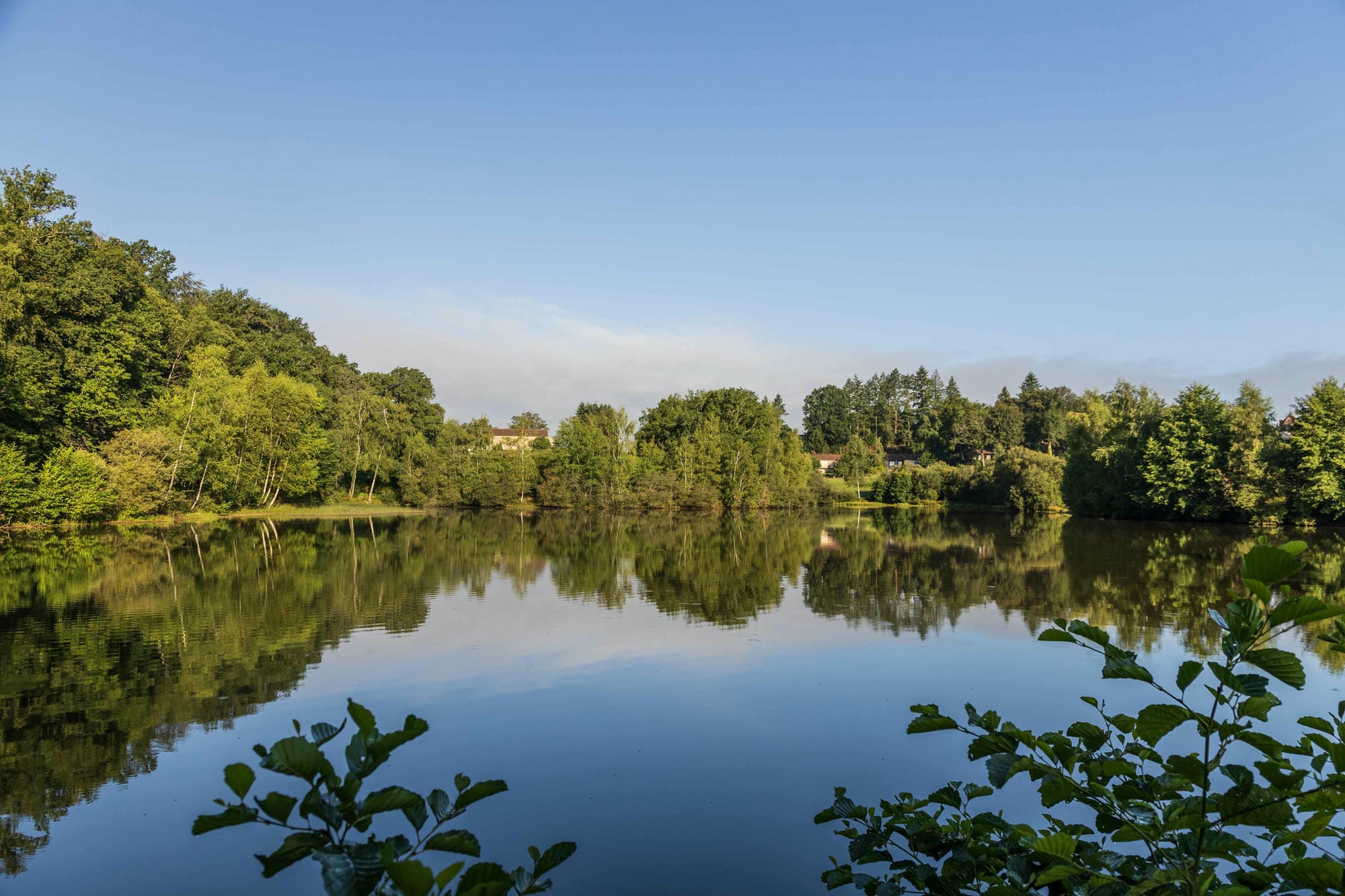 Arbres se reflétant dans l'eau de l'étang de baignade avec plage, Camping Château le Verdoyer