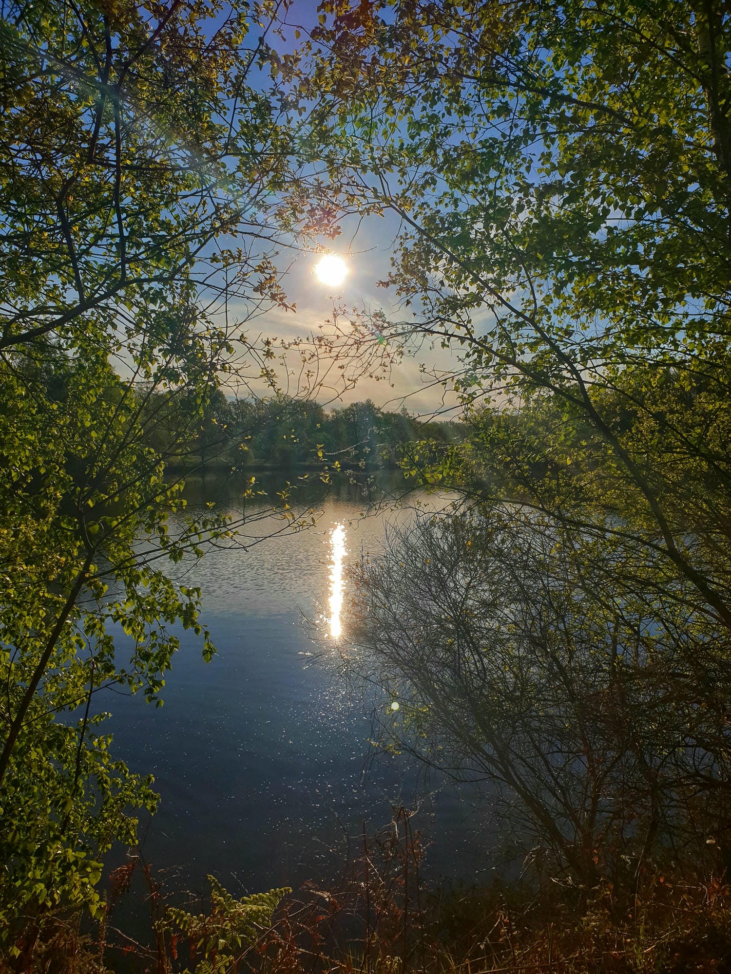 Vue nocturne de l'étang de baignade avec la lune brillante dans le ciel, Camping Le Verdoyer