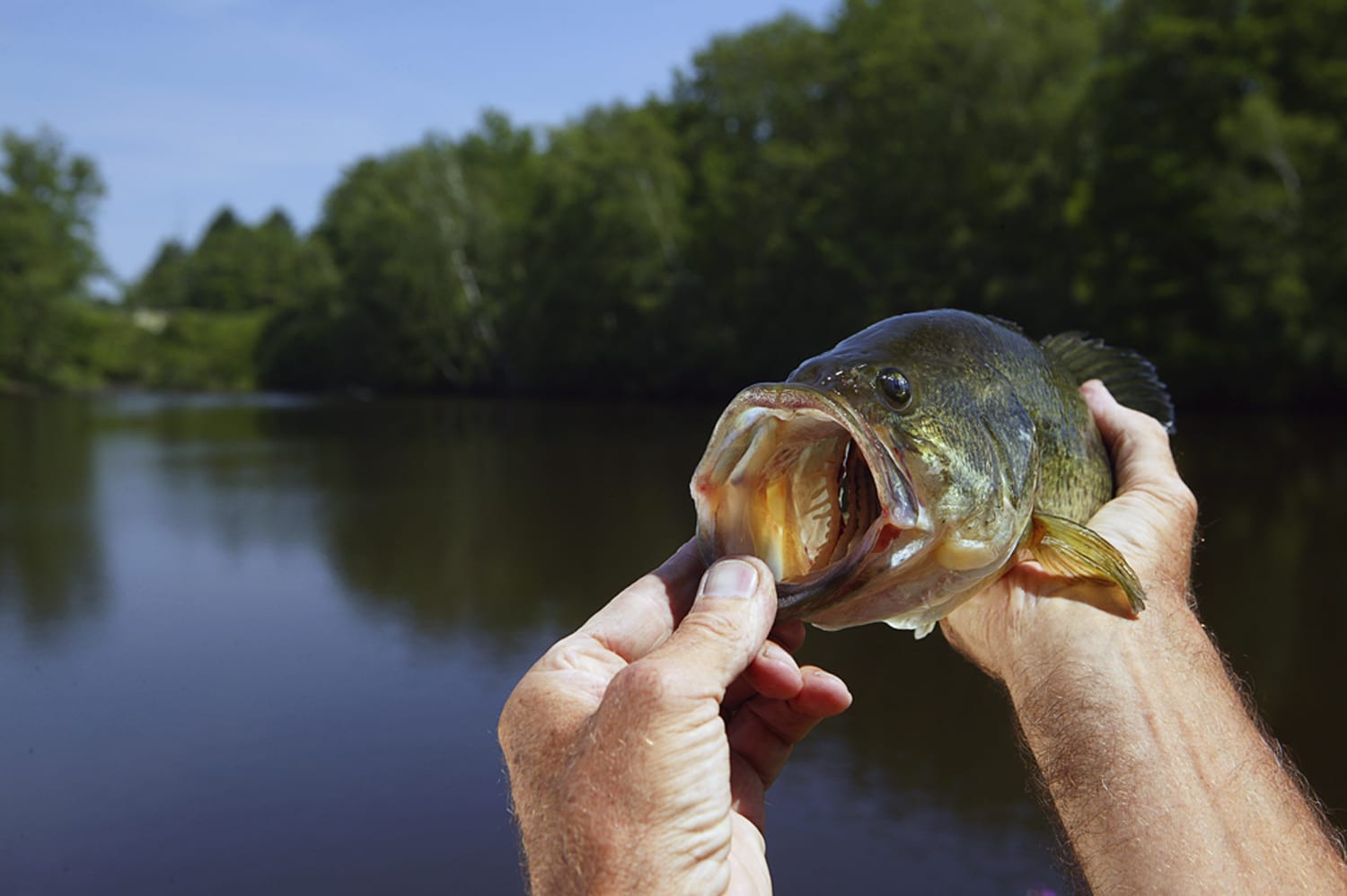 Pêcheur tenant un poisson au bord de l'étang de pêche du Camping Château le Verdoyer