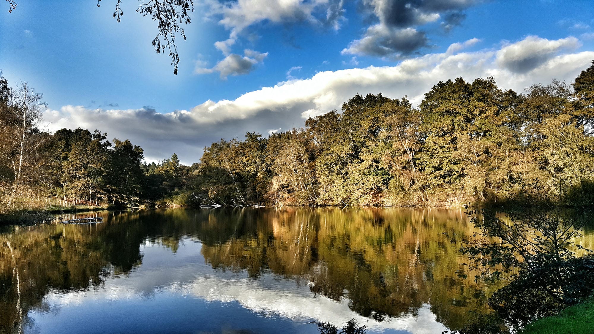 Reflets des arbres dans l'eau de l'étang de pêche du Château le Verdoyer, cadre naturel