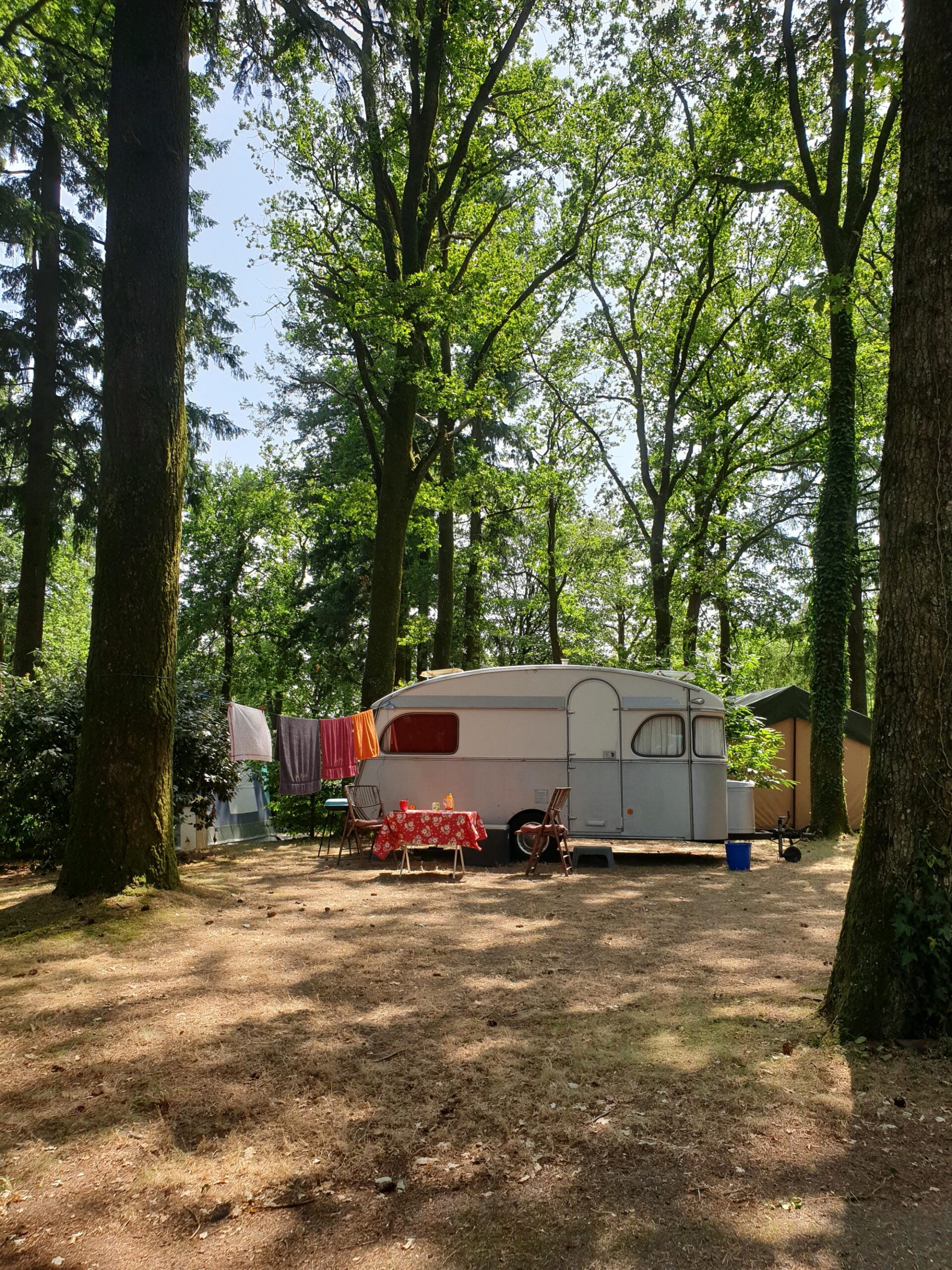 Petite caravane vintage installée en forêt avec table et chaises, emplacement de camping au Verdoyer