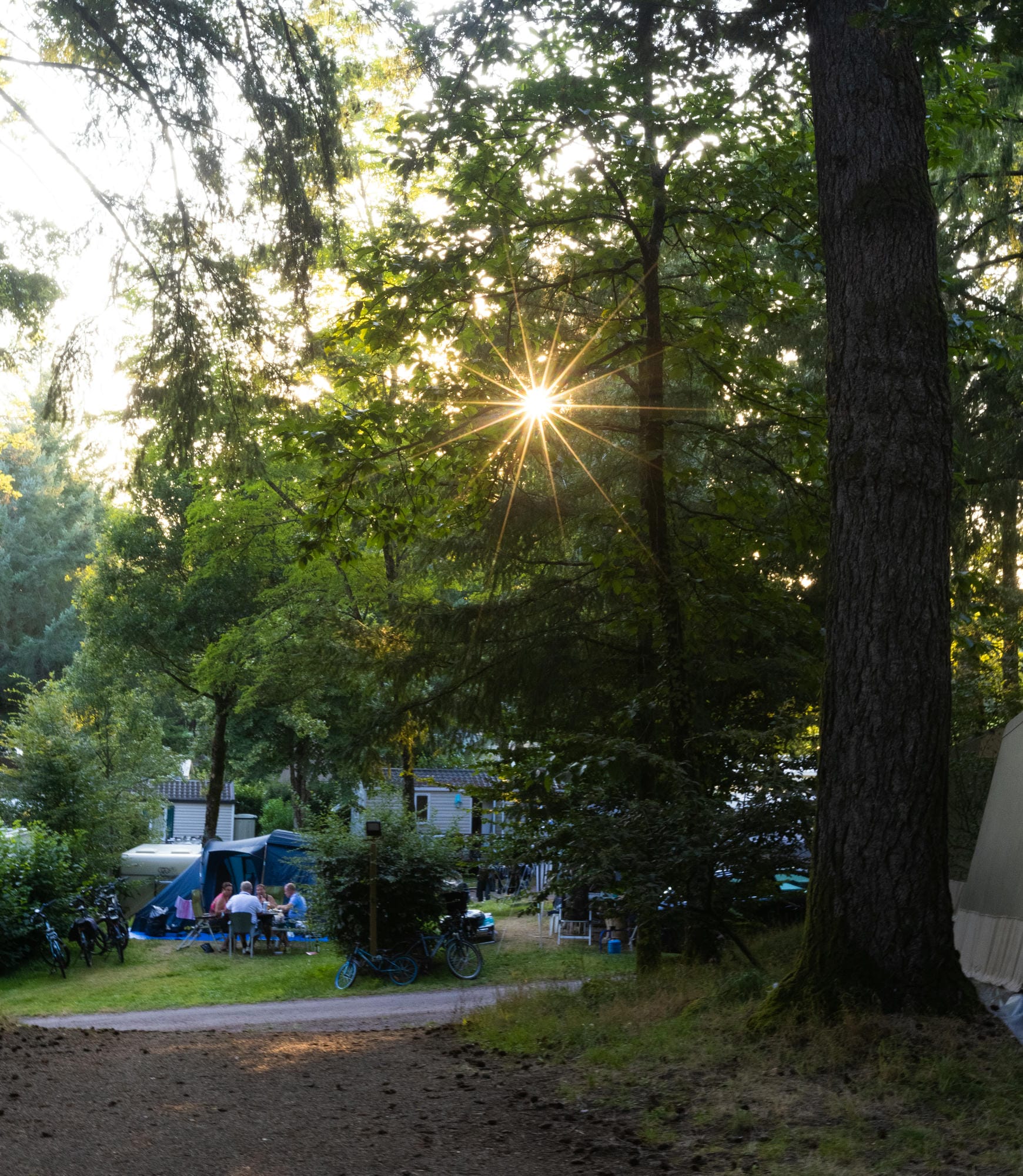 Tente installée en lisière de forêt sur un emplacement du Camping Château le Verdoyer