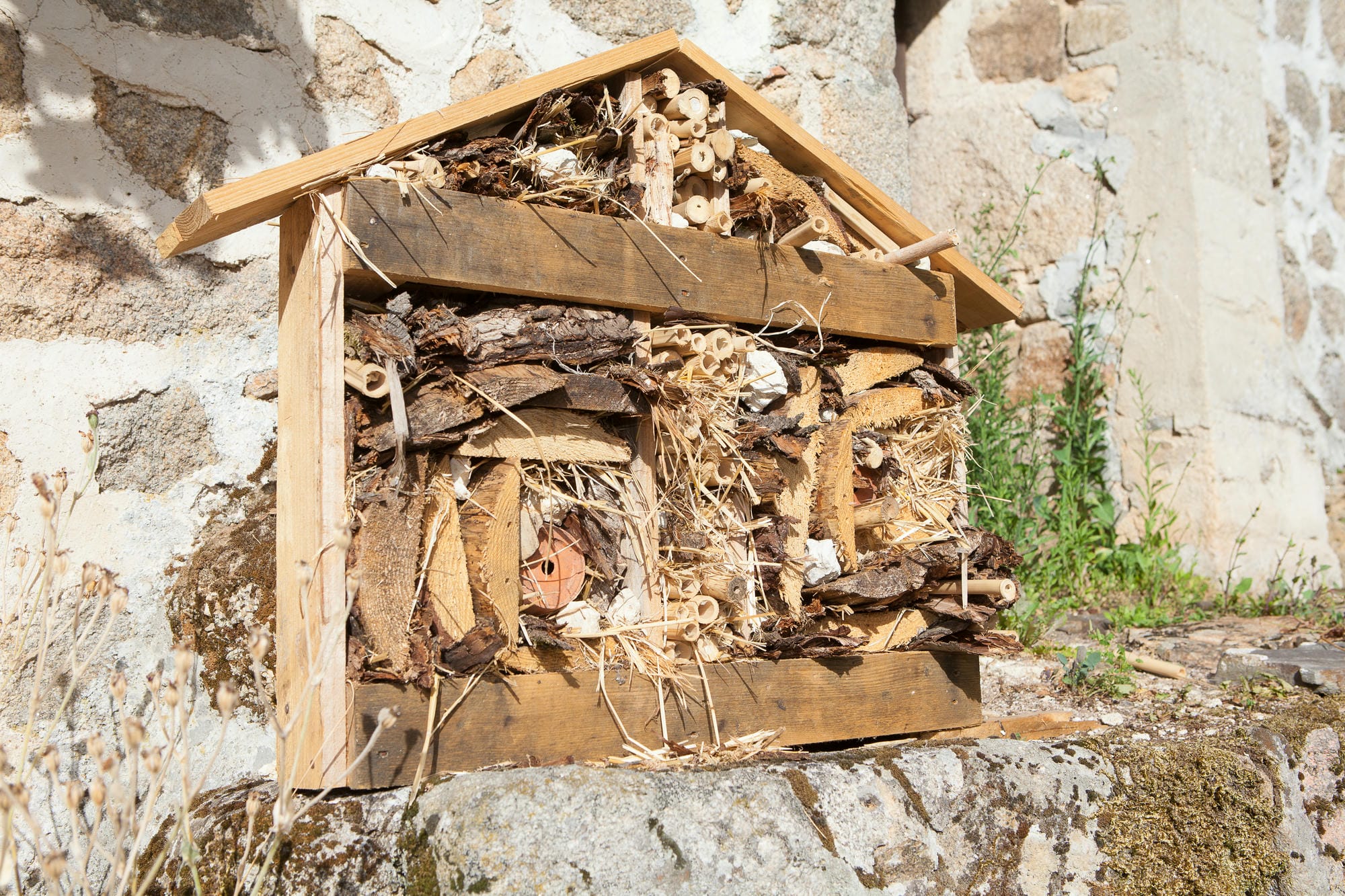 Hôtel à Insectes fabriqué en bois et brindilles, atelier créatif au club Lenny