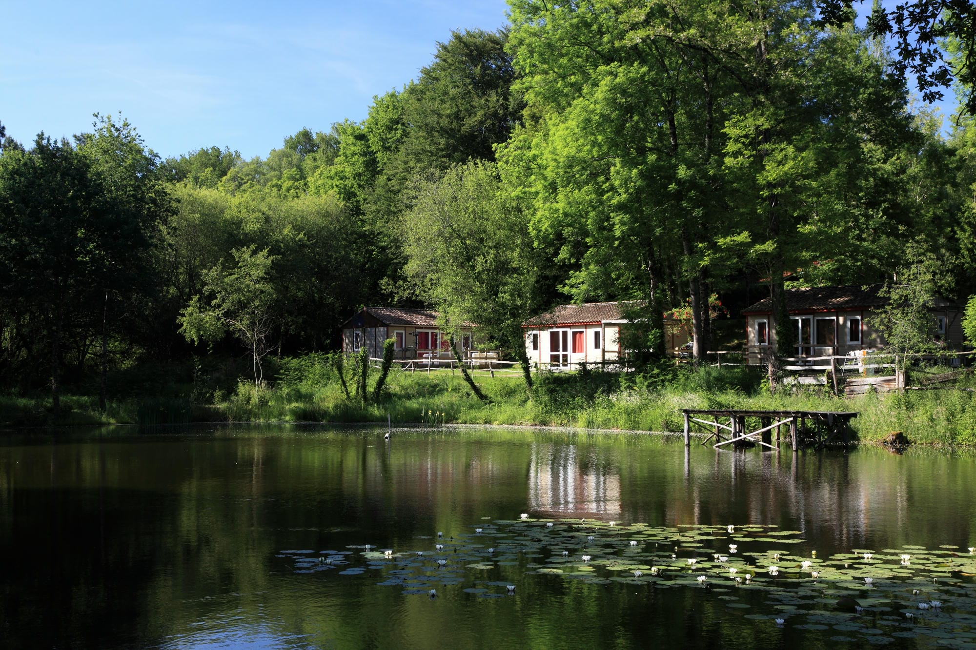 Arbres en arrière-plan d'un chalet en bois, immersion nature au Camping Le Verdoyer