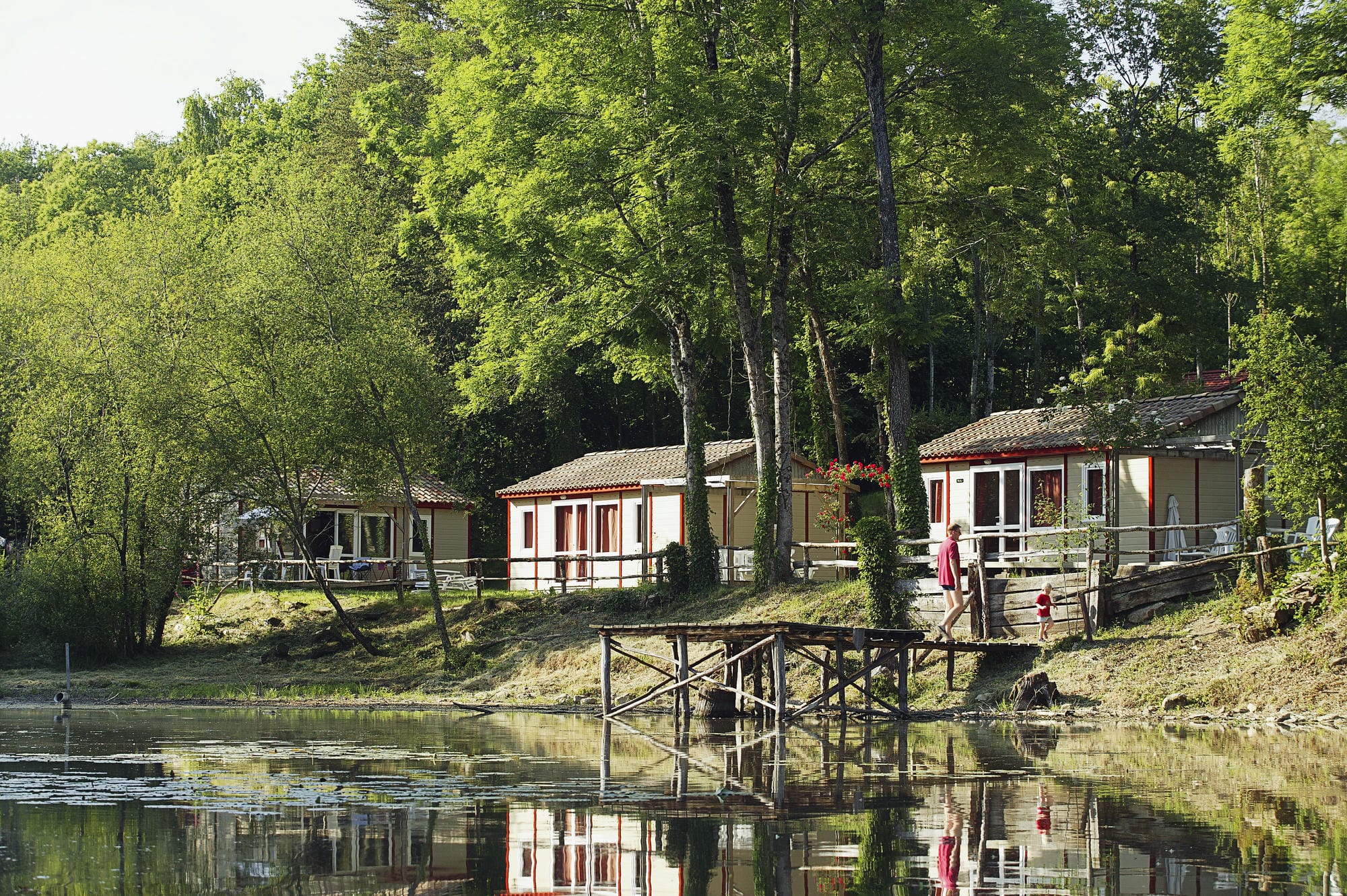 Arbres en arrière-plan d'un chalet en bois 5 personnes au Camping Château le Verdoyer