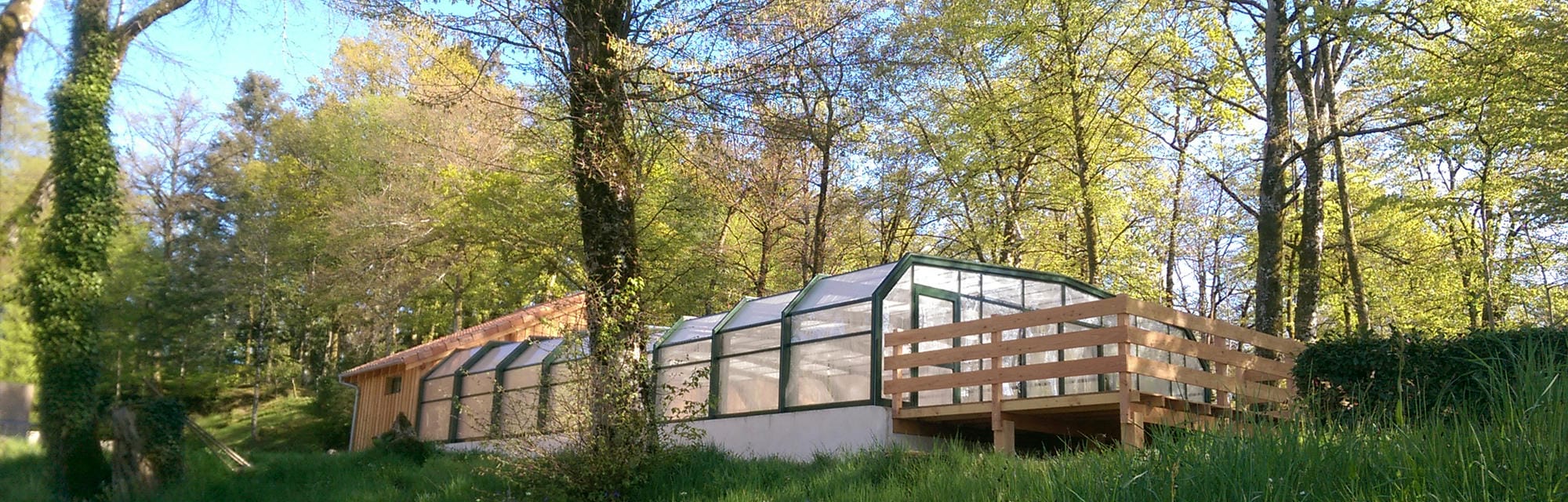 Piscine couverte avec toit en verre, nichée dans la verdure du Camping Château le Verdoyer