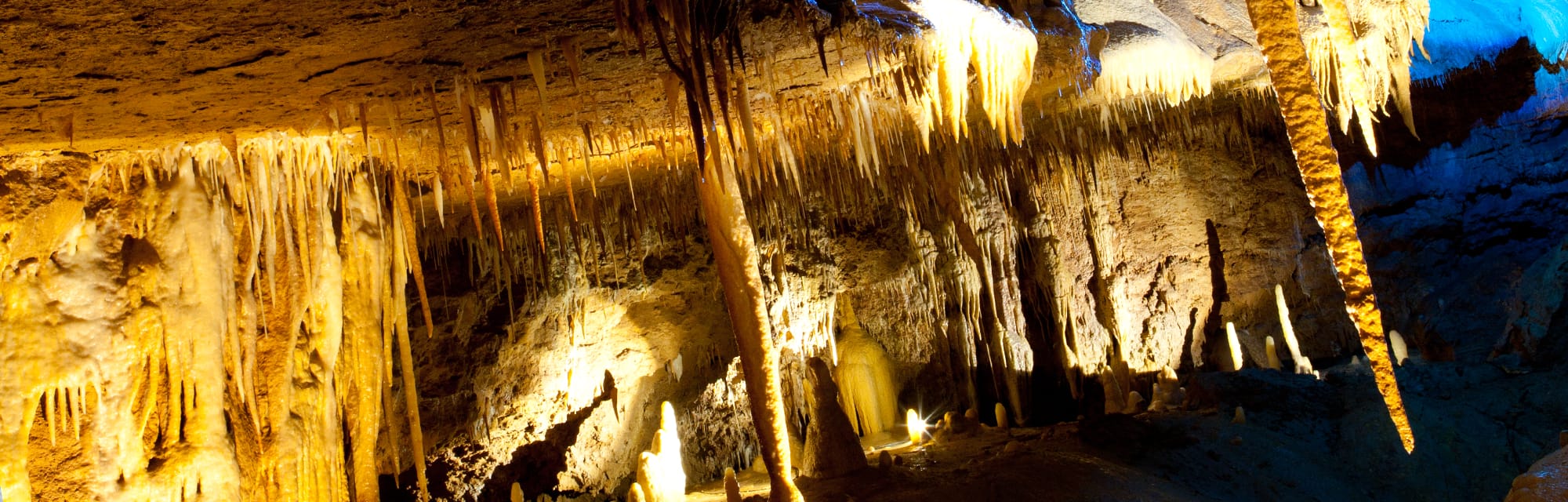La Grotte de Tourtoirac – La perle géologique du Périgord Vert