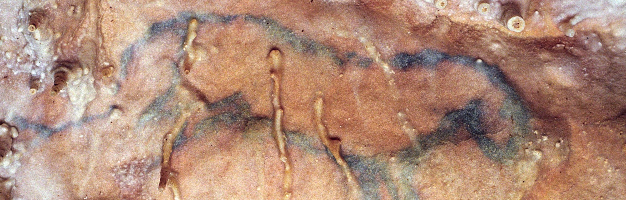 La grotte de Villars : sous le Périgord Vert, 20 000 ans d&rsquo;art et de mystère