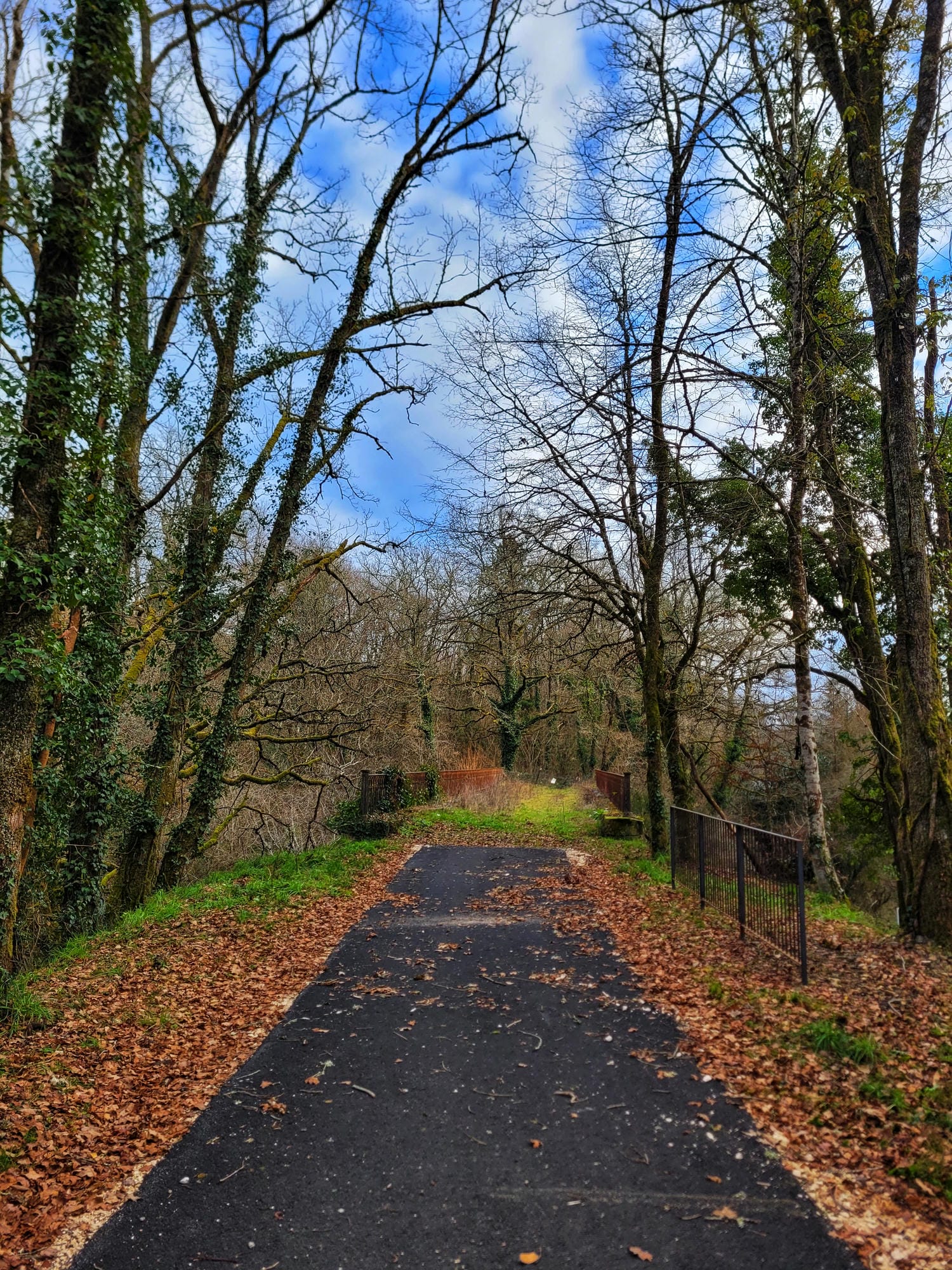 Chemin forestier bordé d'arbres et de feuilles, idéal pour une balade Flow Vélo en Périgord