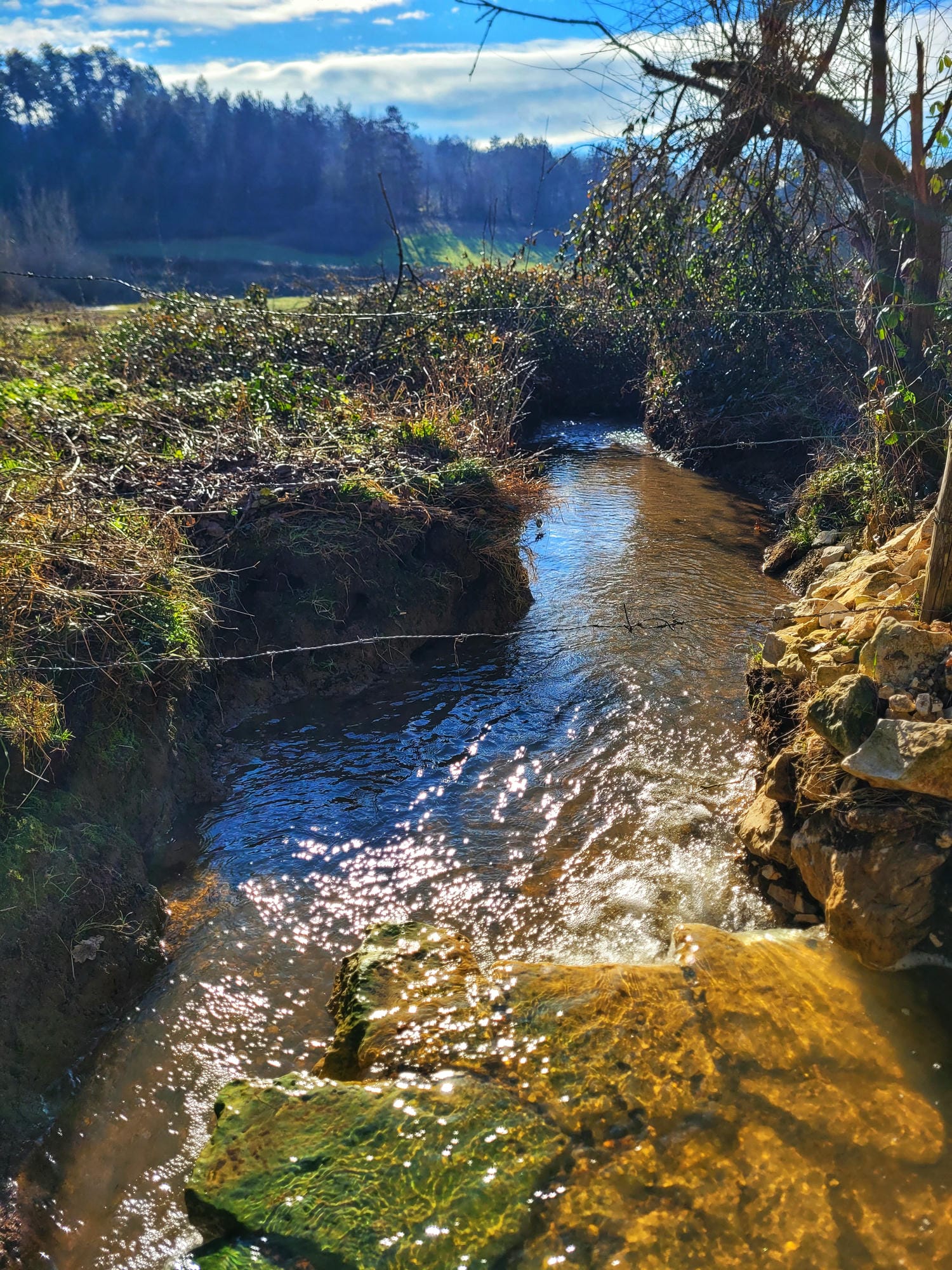 Ruisseau traversant un champ herbeux arboré, nature du Périgord sur la Flow Vélo