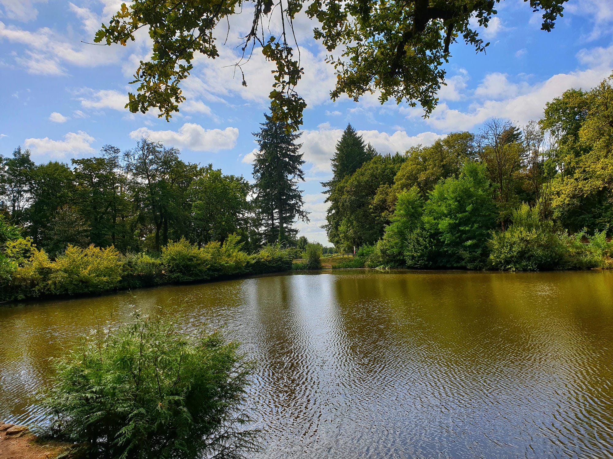Etang de l'entrée du Château le Verdoyer entouré d'arbres et de pelouse, paysage typique du Périgord Vert