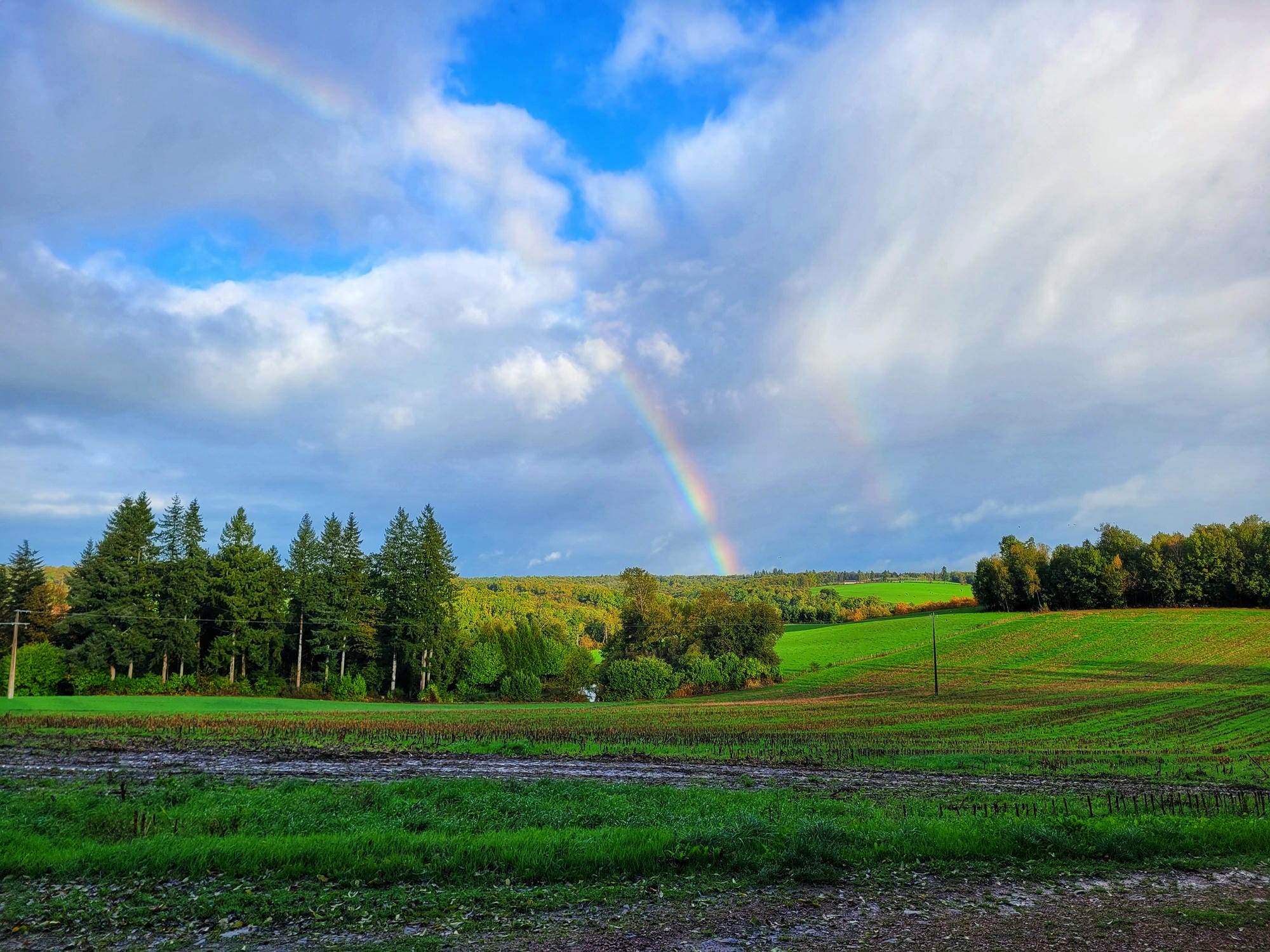 Arc-en-ciel au-dessus d'un champ verdoyant, paysage du Parc Naturel Régional Périgord-Limousin