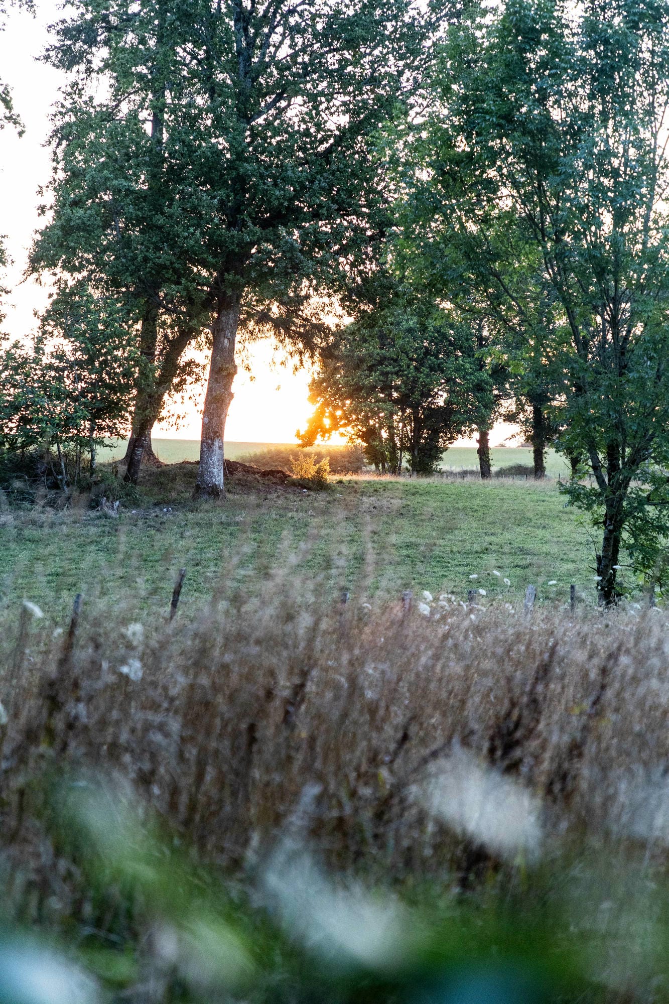 Paysage bucolique du Parc Naturel Régional Périgord-Limousin