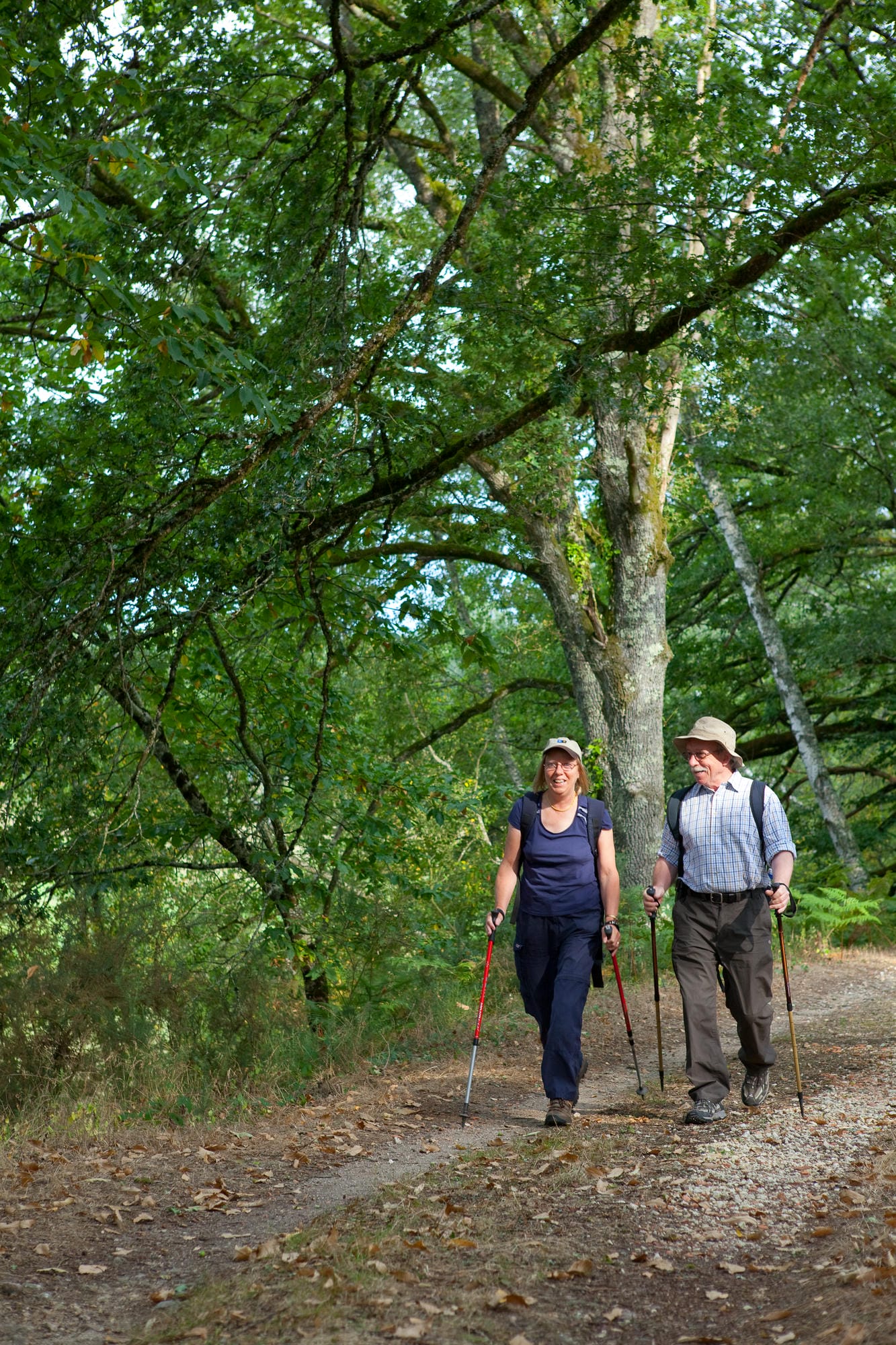 Deux randonneurs sur un sentier boisé, exploration du Parc Naturel Régional Périgord-Limousin