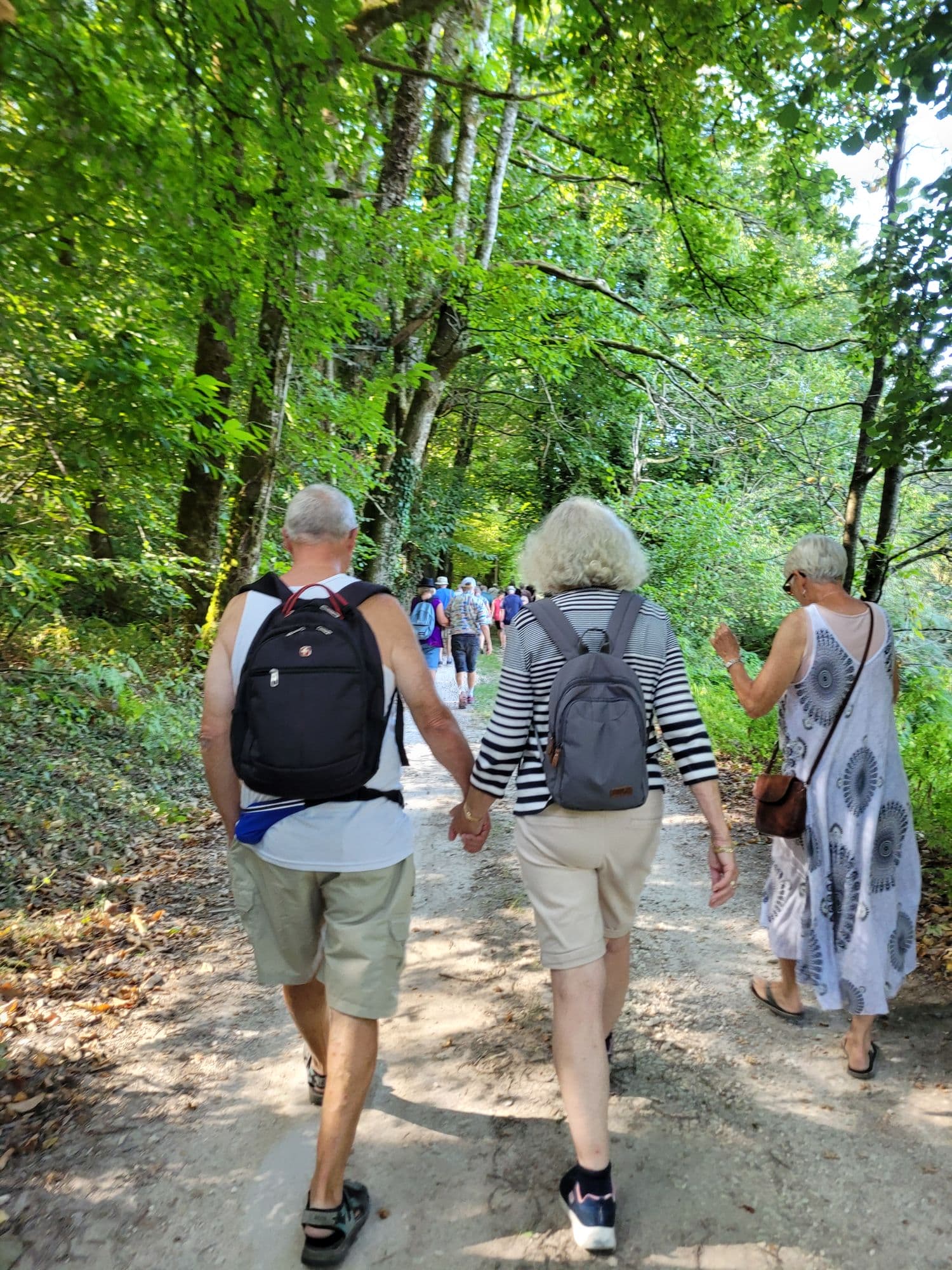Groupe de randonneurs avec sacs à dos sur un sentier forestier en Périgord
