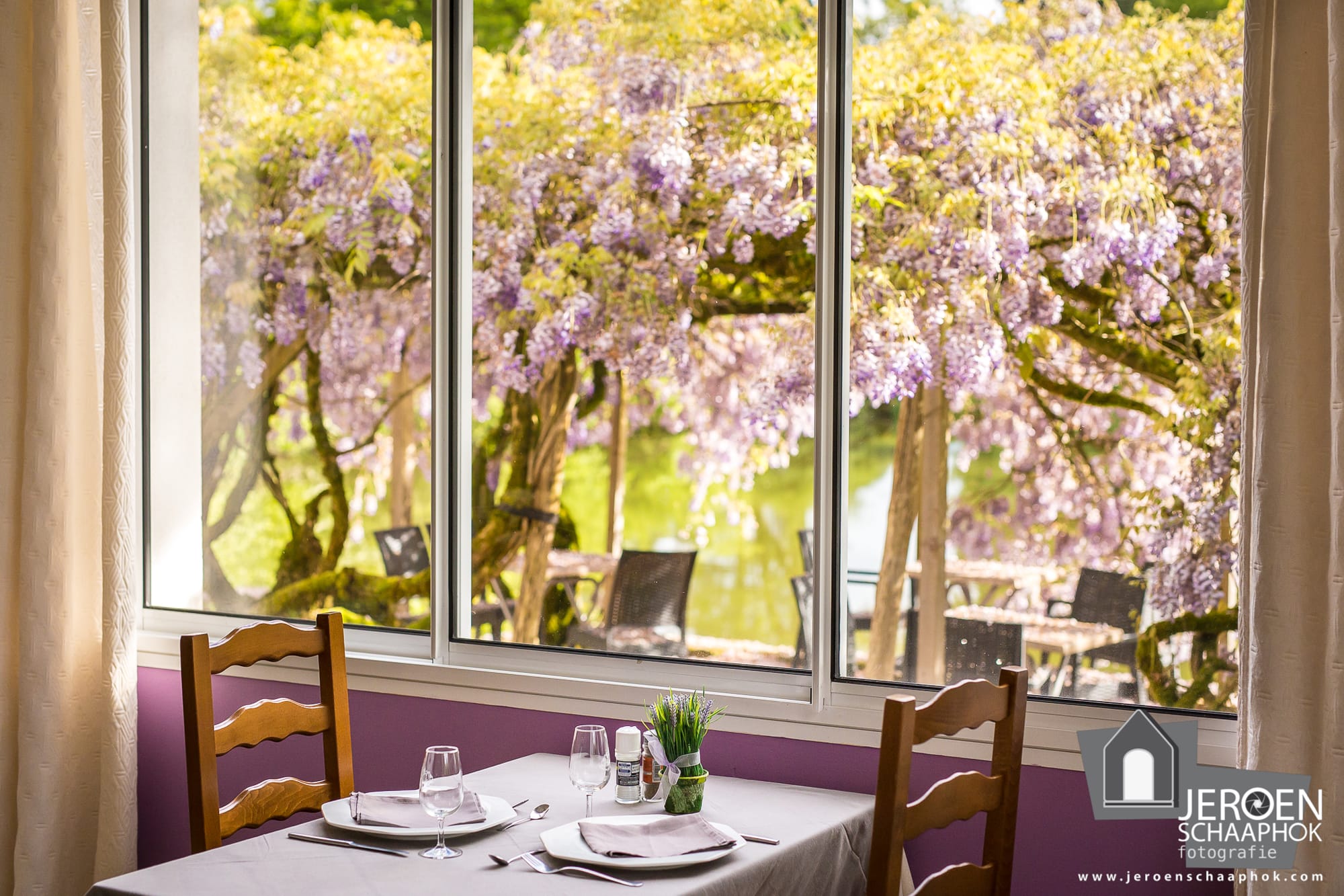 Table dressée avec vue sur un arbre à l'extérieur, restaurant du Château le Verdoyer