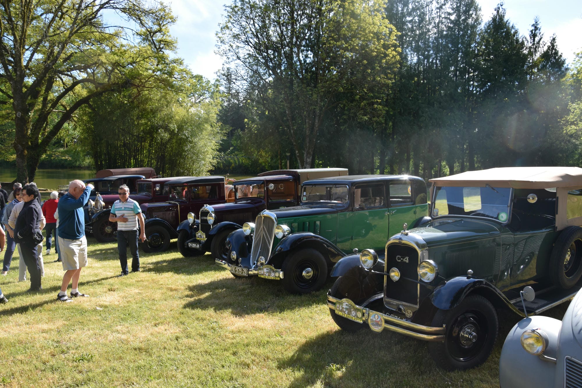 Plusieurs voitures anciennes alignées sur la pelouse, exposition lors d'un événement au Verdoyer
