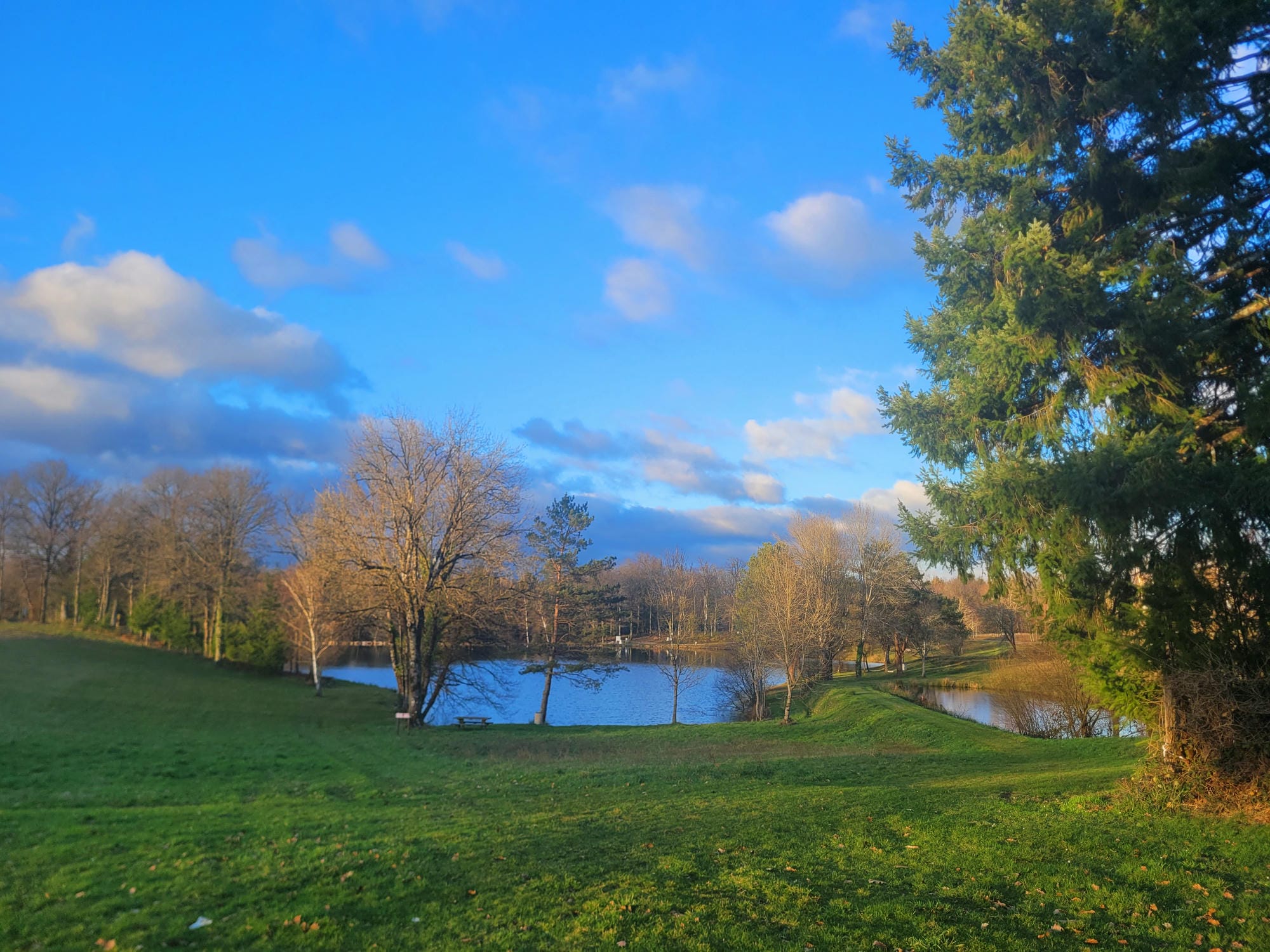 Étang de pêche au milieu d'un champ herbeux à Champs-Romain, Dordogne