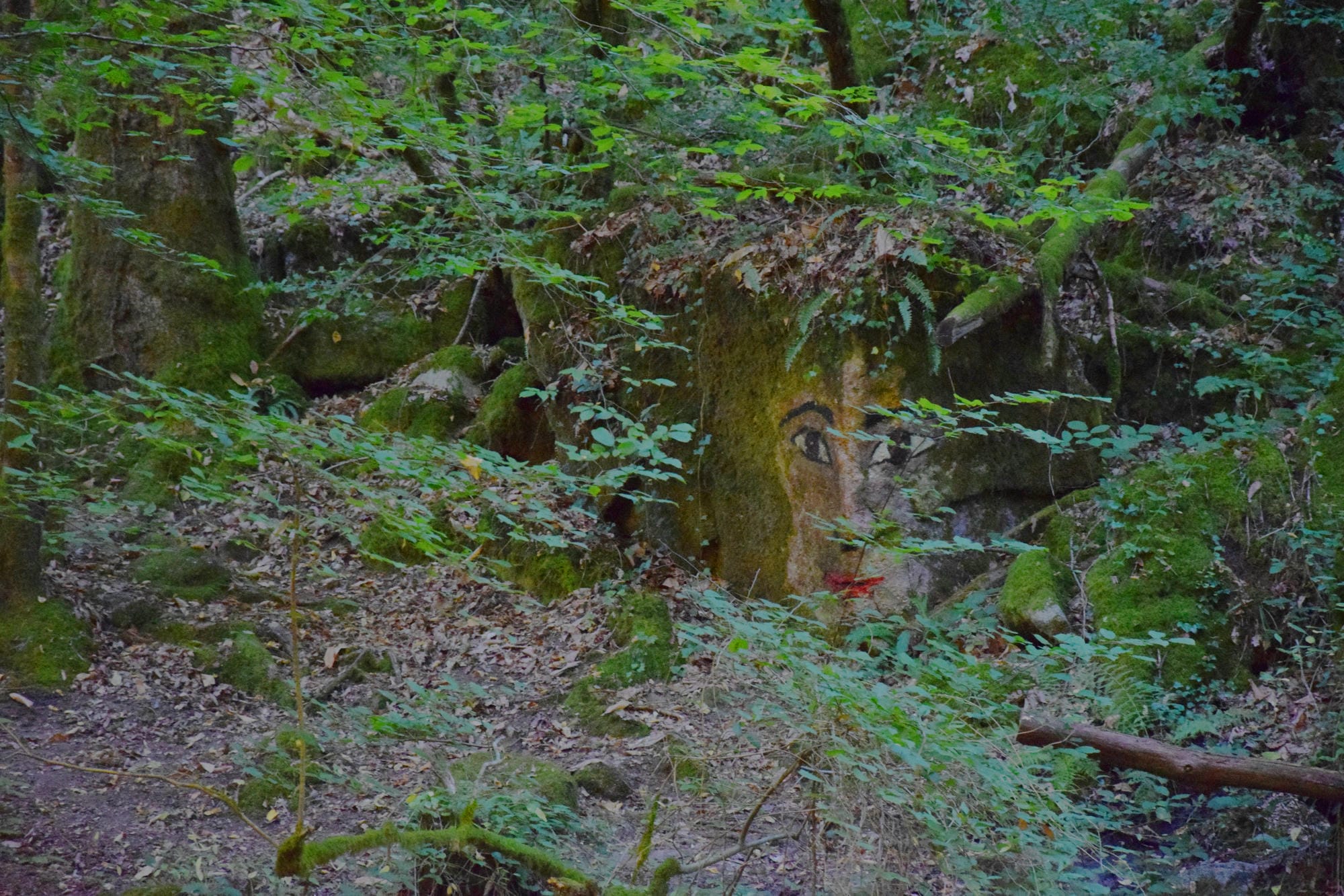 Visage de la Belle de Fargeas, peint sur la roche en forêt au Saut du Chalard, Champs-Romain