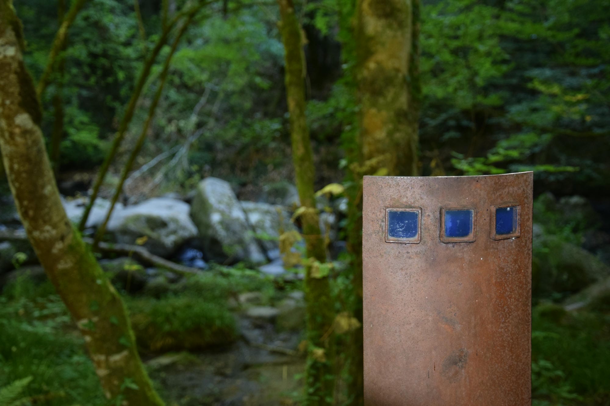 Poteau métallique avec balisage bleu en forêt, sentier du Saut du Chalard à Champs-Romain