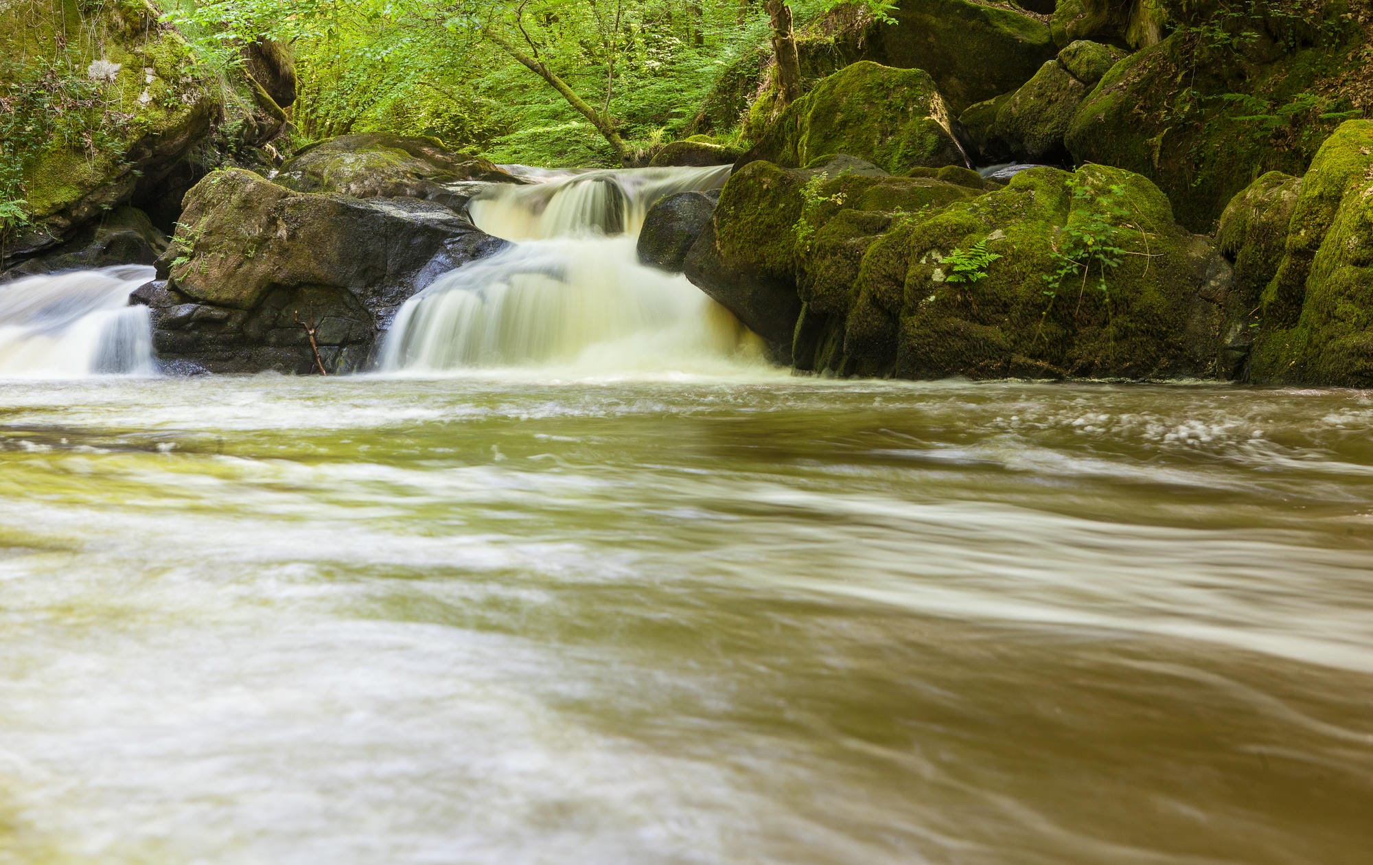 Ruisseau traversant une forêt rocheuse au Saut du Chalard, Champs-Romain