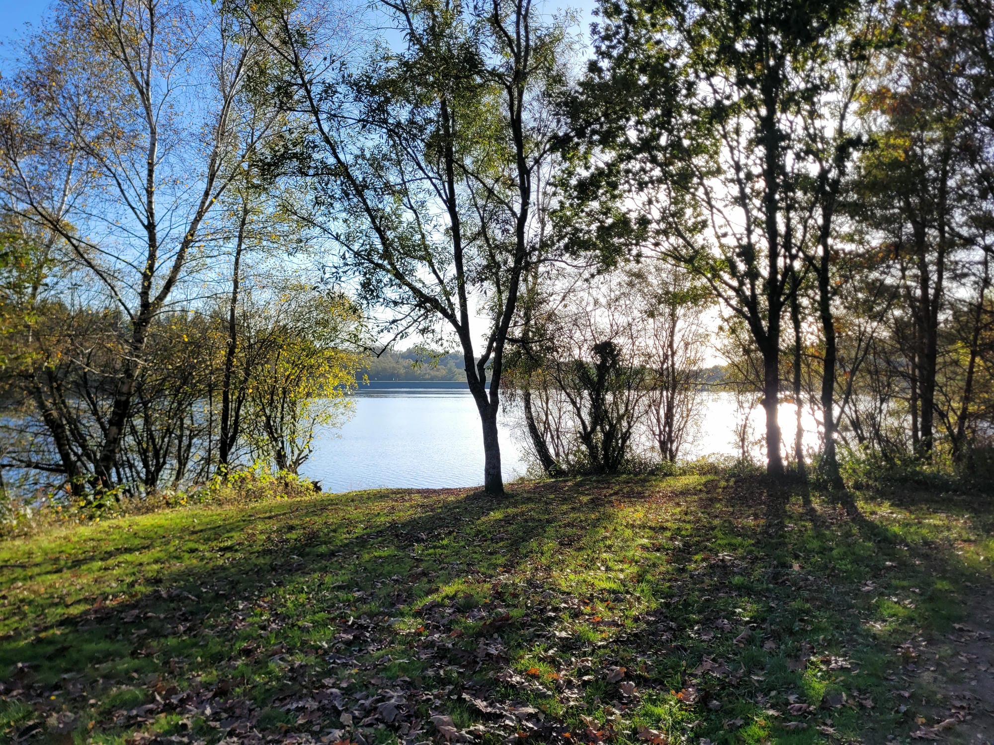 Arbres et pelouse au bord du lac de Miallet avec un banc, lieu de détente