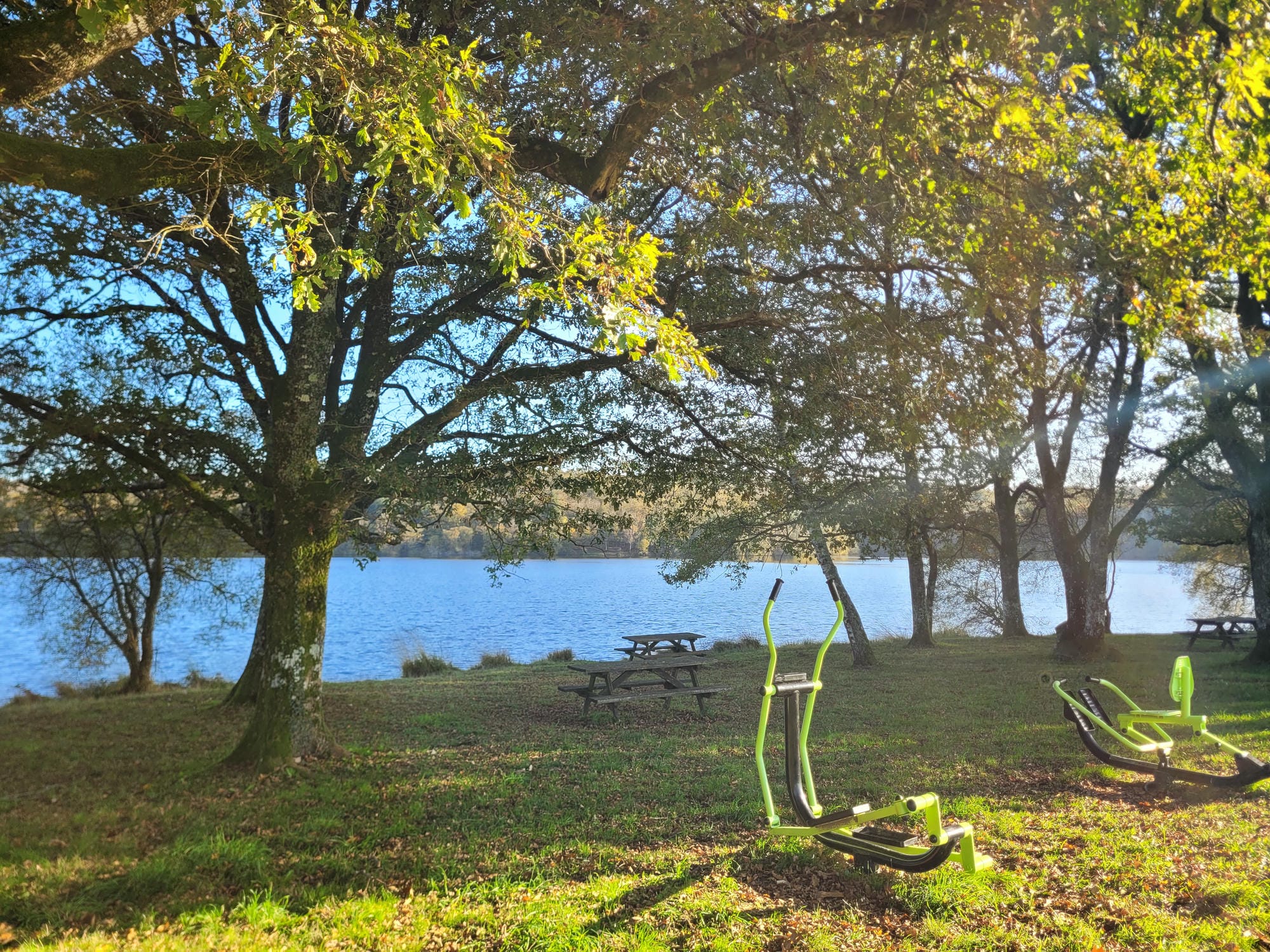 Eléments de musculation dans l'herbe au bord du lac de barrage de Miallet, Dordogne