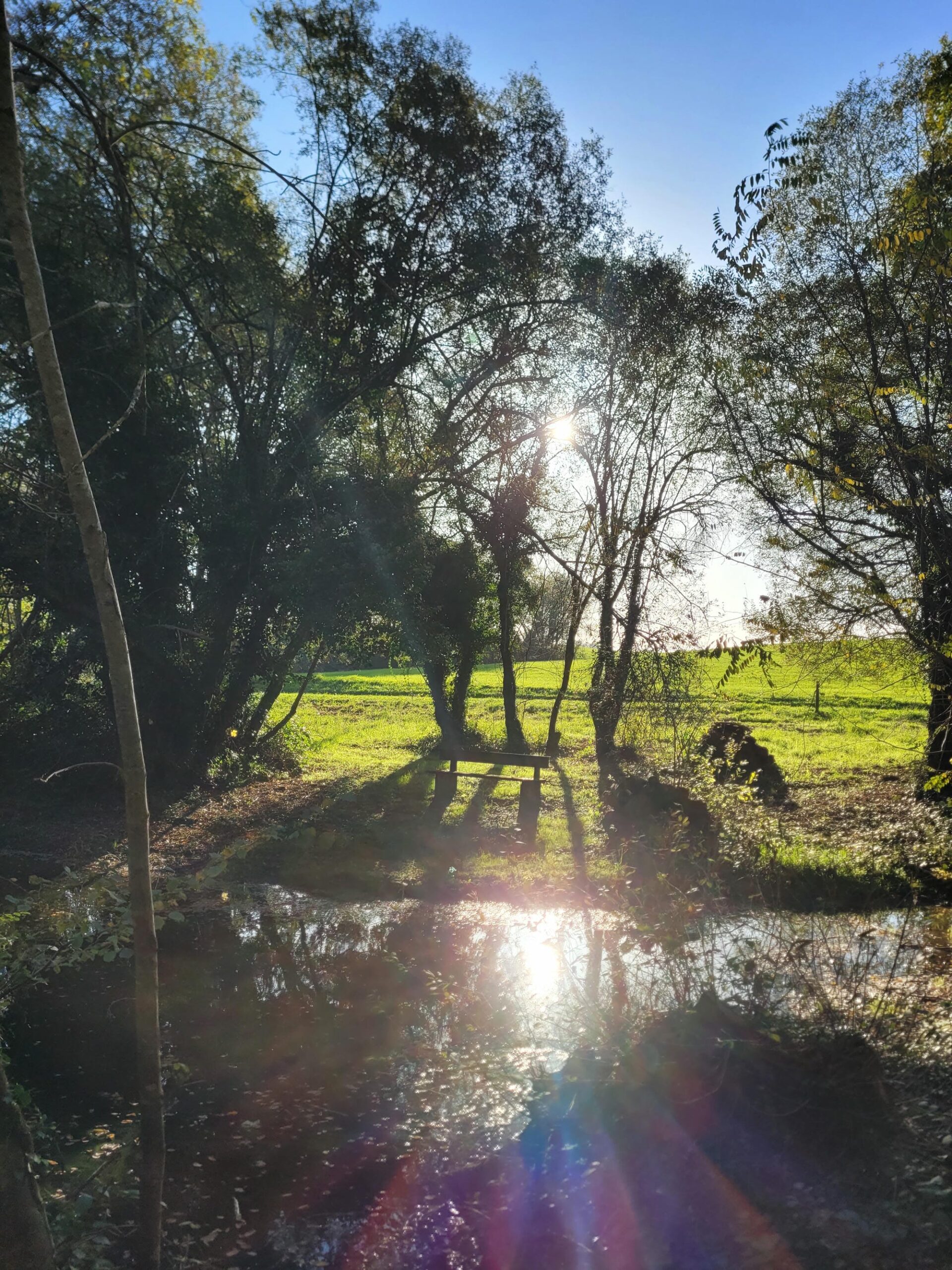 Rayons de soleil à travers les arbres illuminant un petit étang près du barrage de Miallet