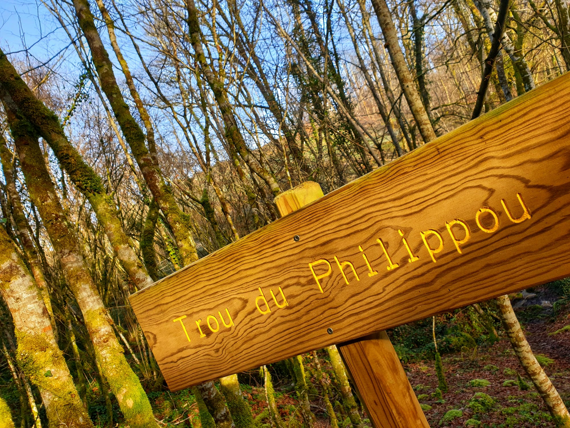 Panneau en bois indiquant la direction de la forêt (Trou du Philippou) à St-Saud