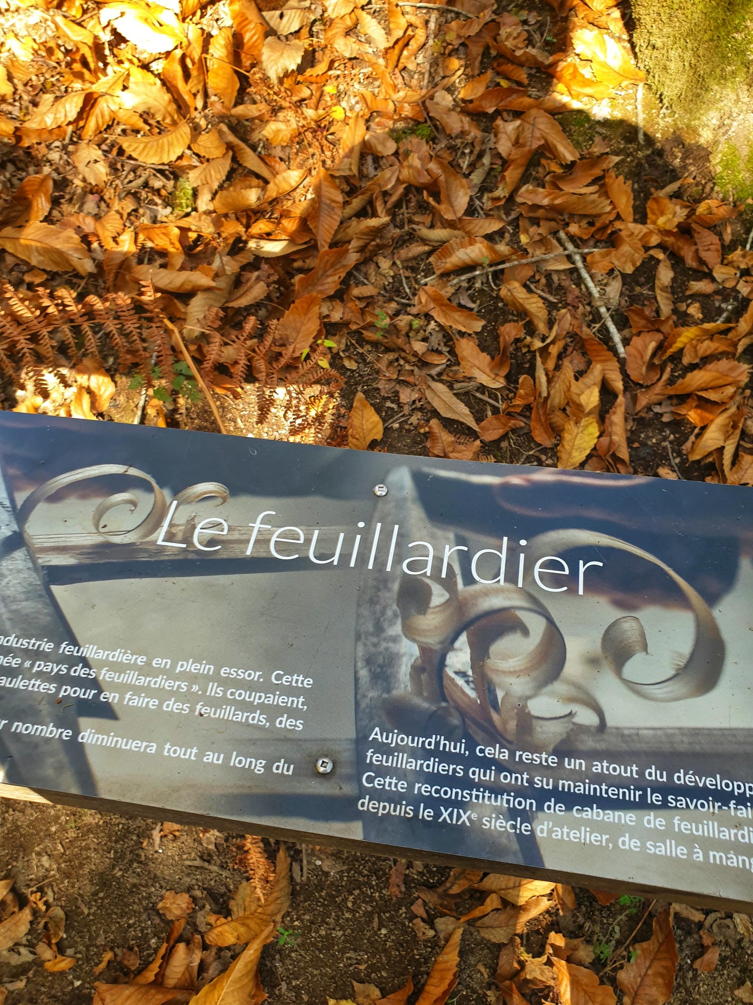 Panneau au sol parmi les feuilles mortes, indiquant le Trou du Philippou à St-Saud